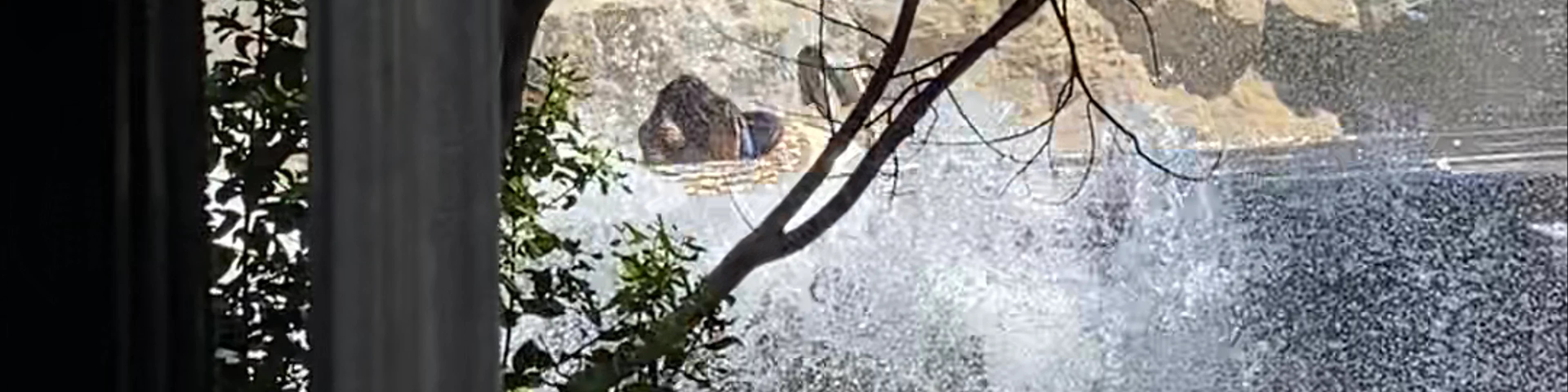 Parque de Atracciones de Madrid