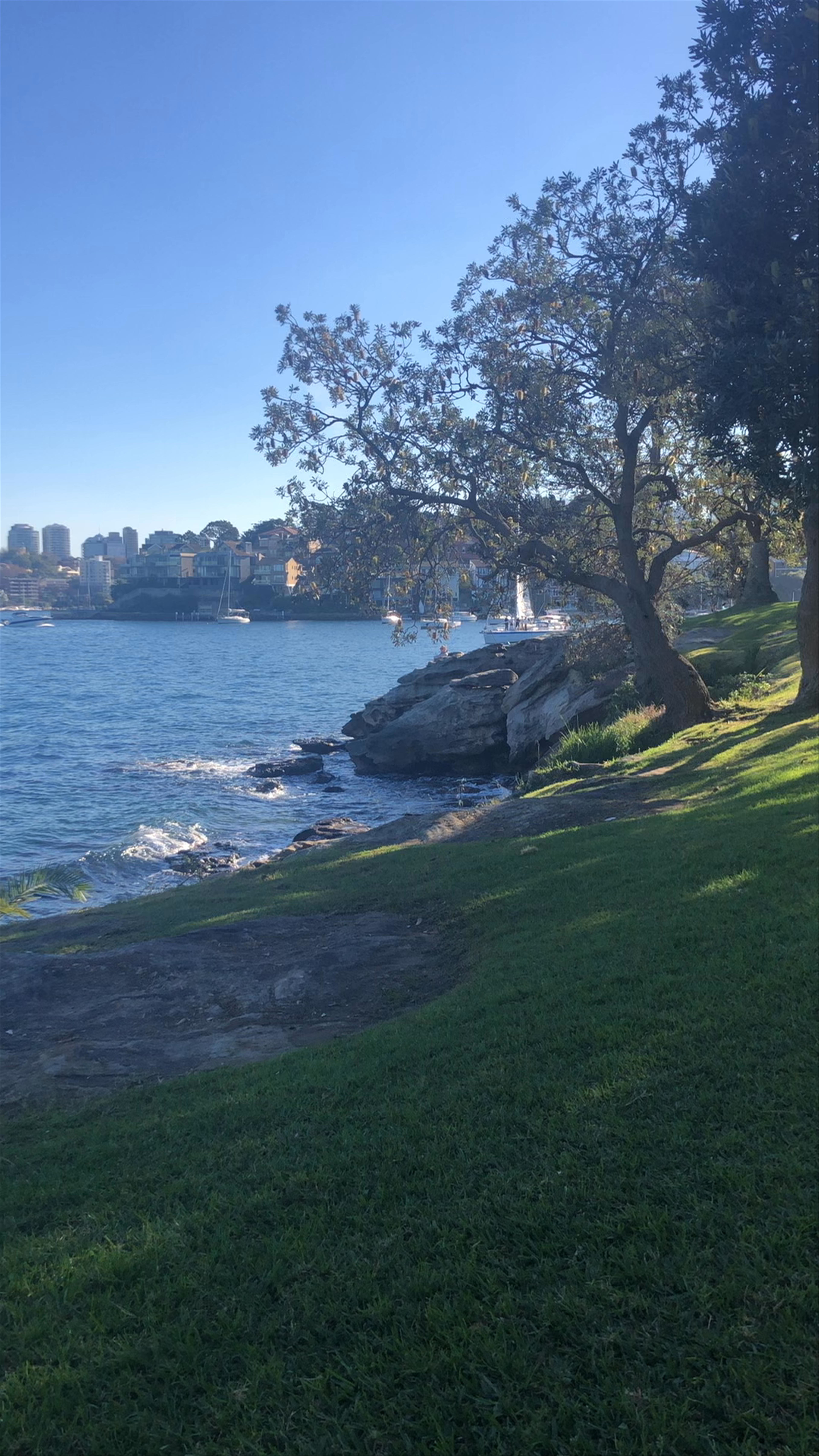 Cremorne Point Garden And Walk