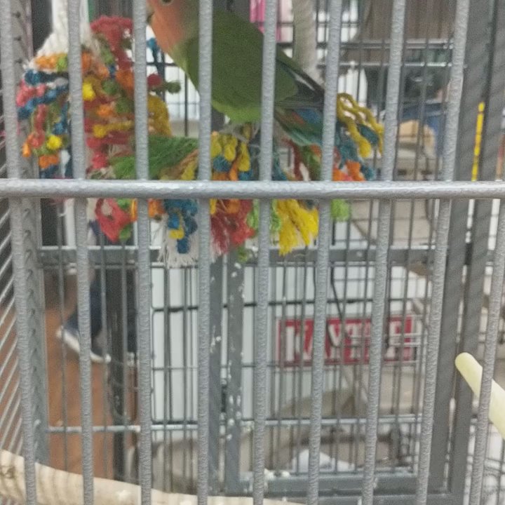 Pets Plus Natural - Pet Stores Near Me - Quakertown, Pennsylvania