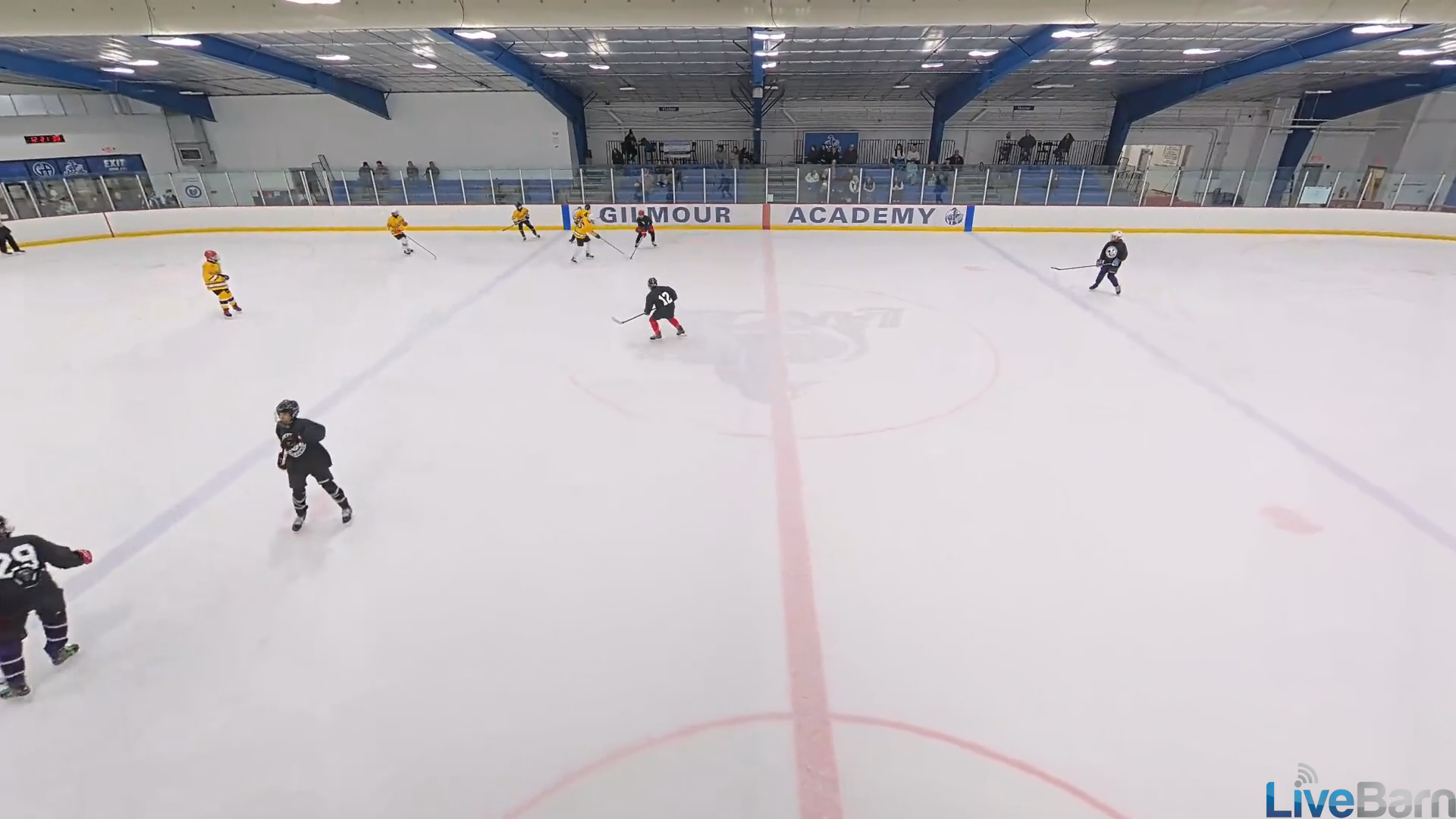 Hudson Botson's Impressive Assist and Poke Check Highlights