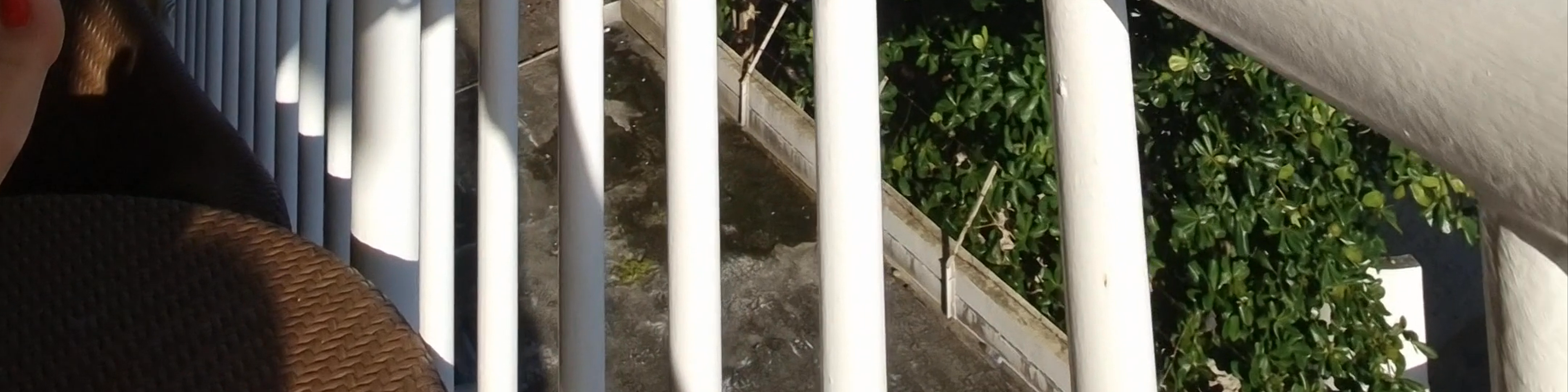 Barbados