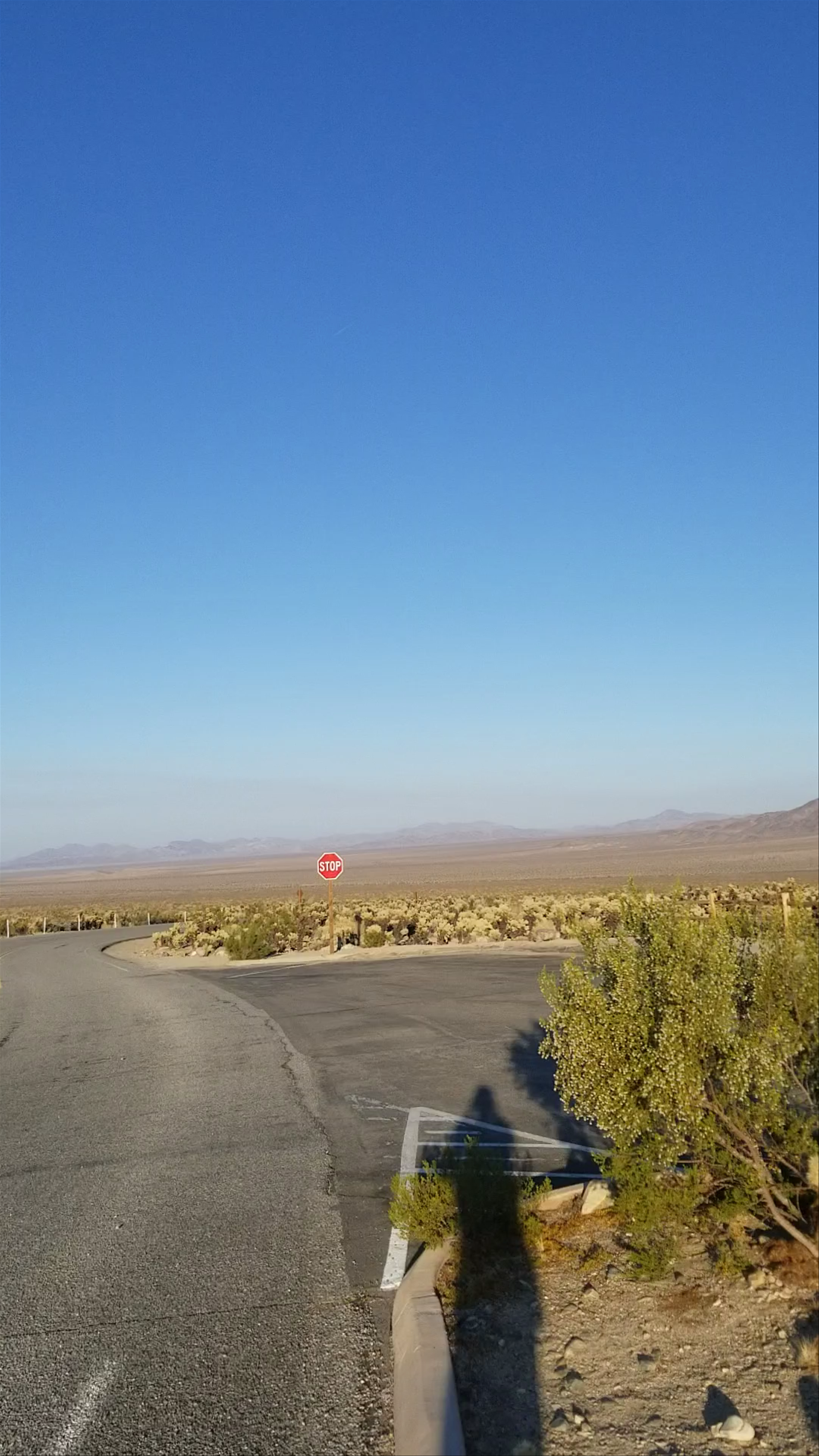 Joshua Tree National Park