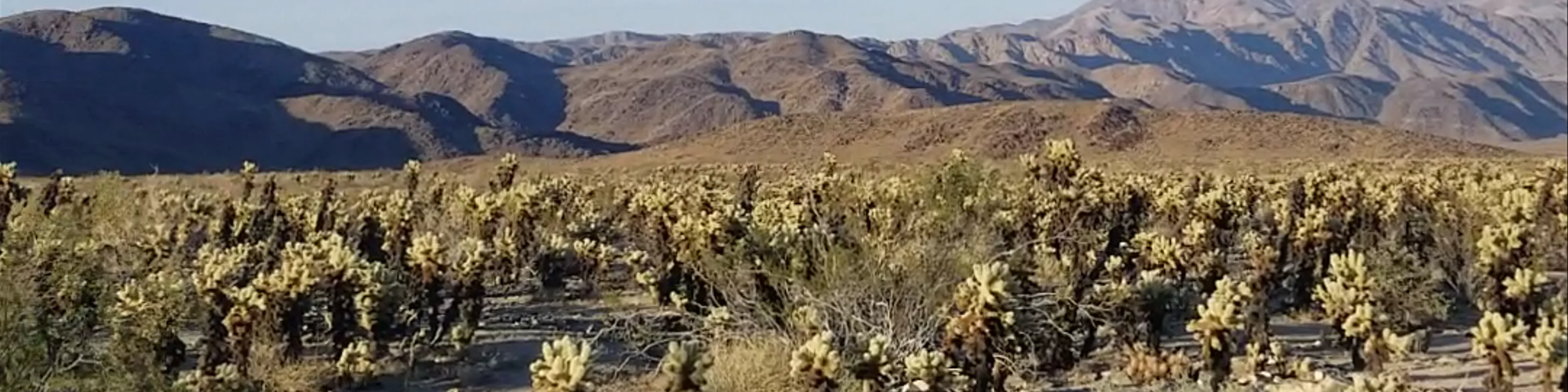 Joshua Tree National Park