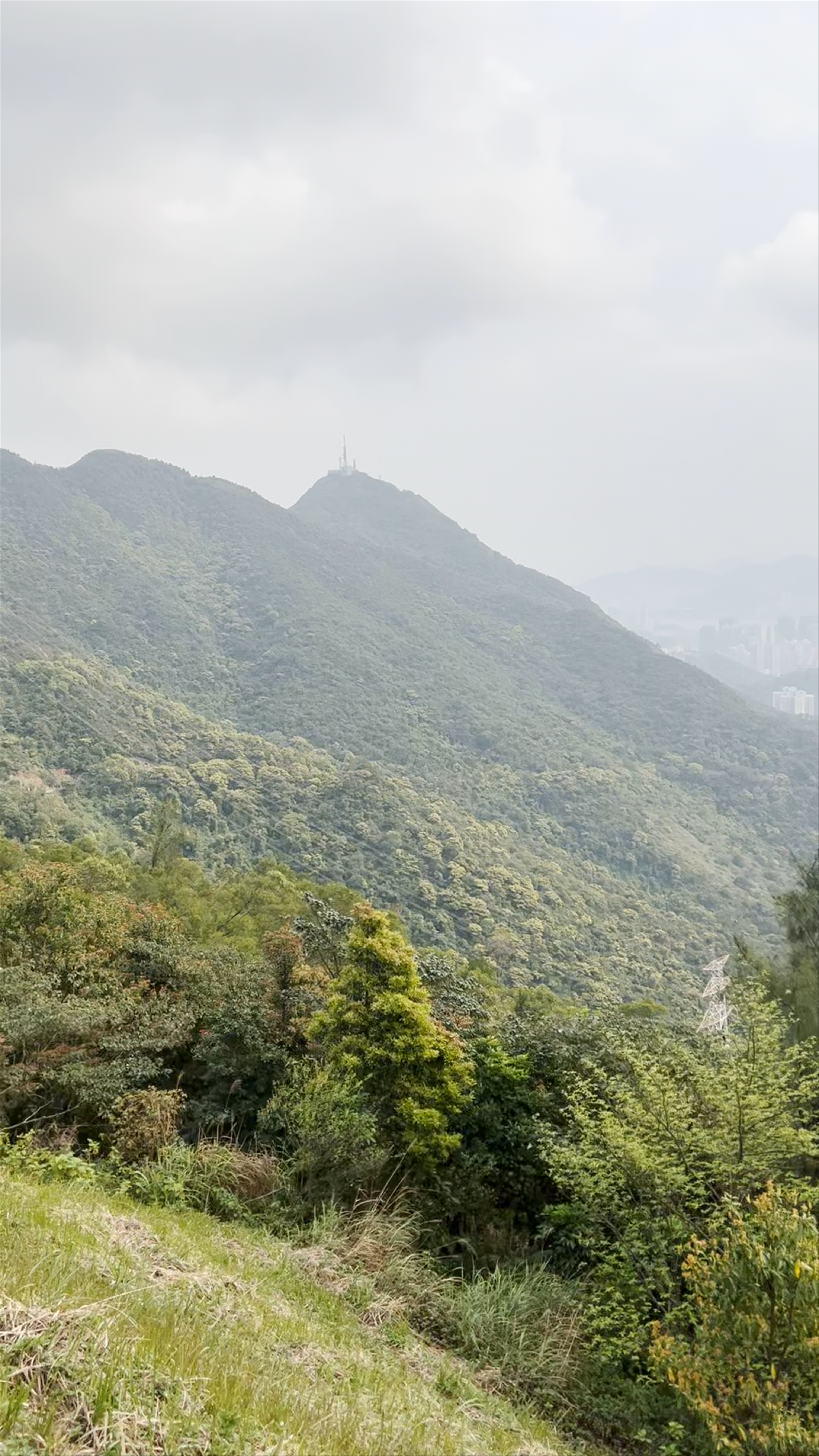 Kowloon Peak Viewing Point: Panoramic Nature Escape Over Hong Kong
