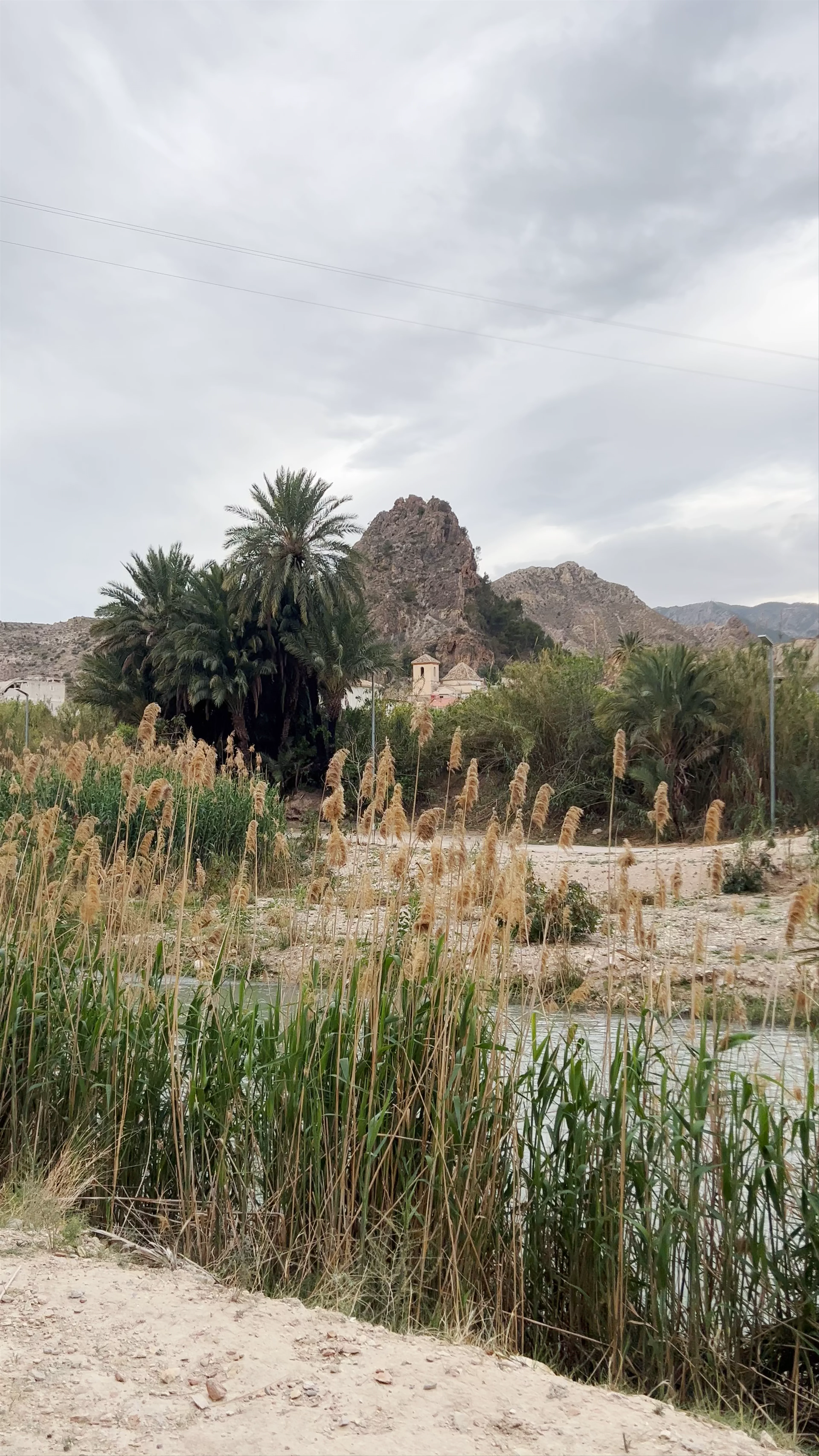 Paseo de las Palmeras, Ojós, Spain