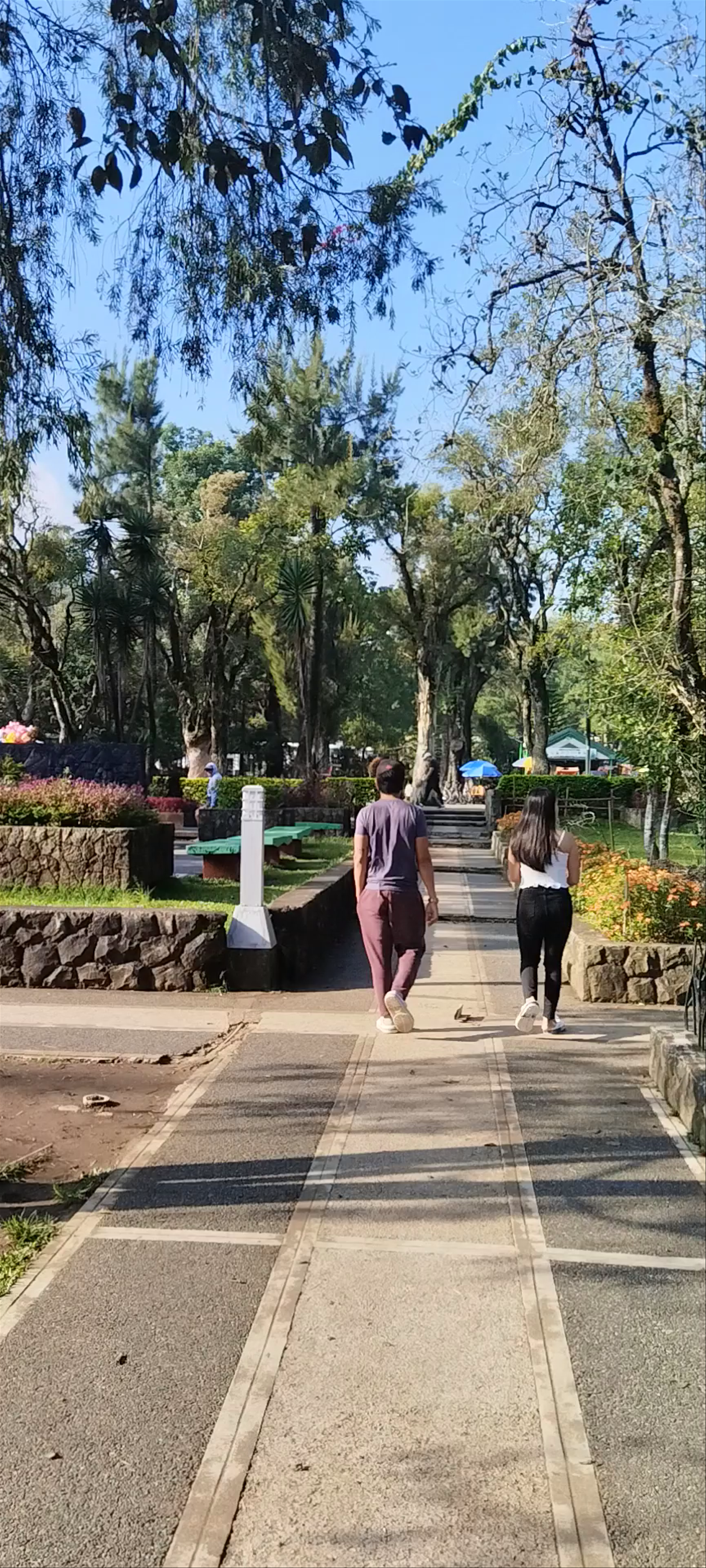 Serene Walk Through Burnham Park, Baguio