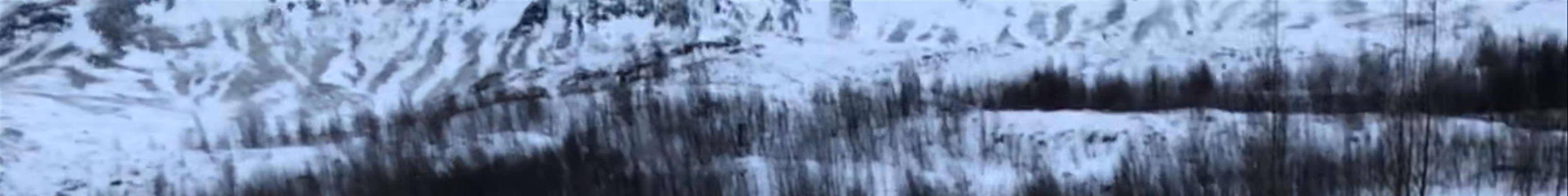 Tours & experiences in Flúðir