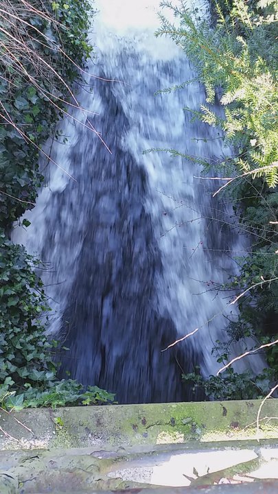 Kurpark - Wildwasser - Parks Near Me - Mölln, SH