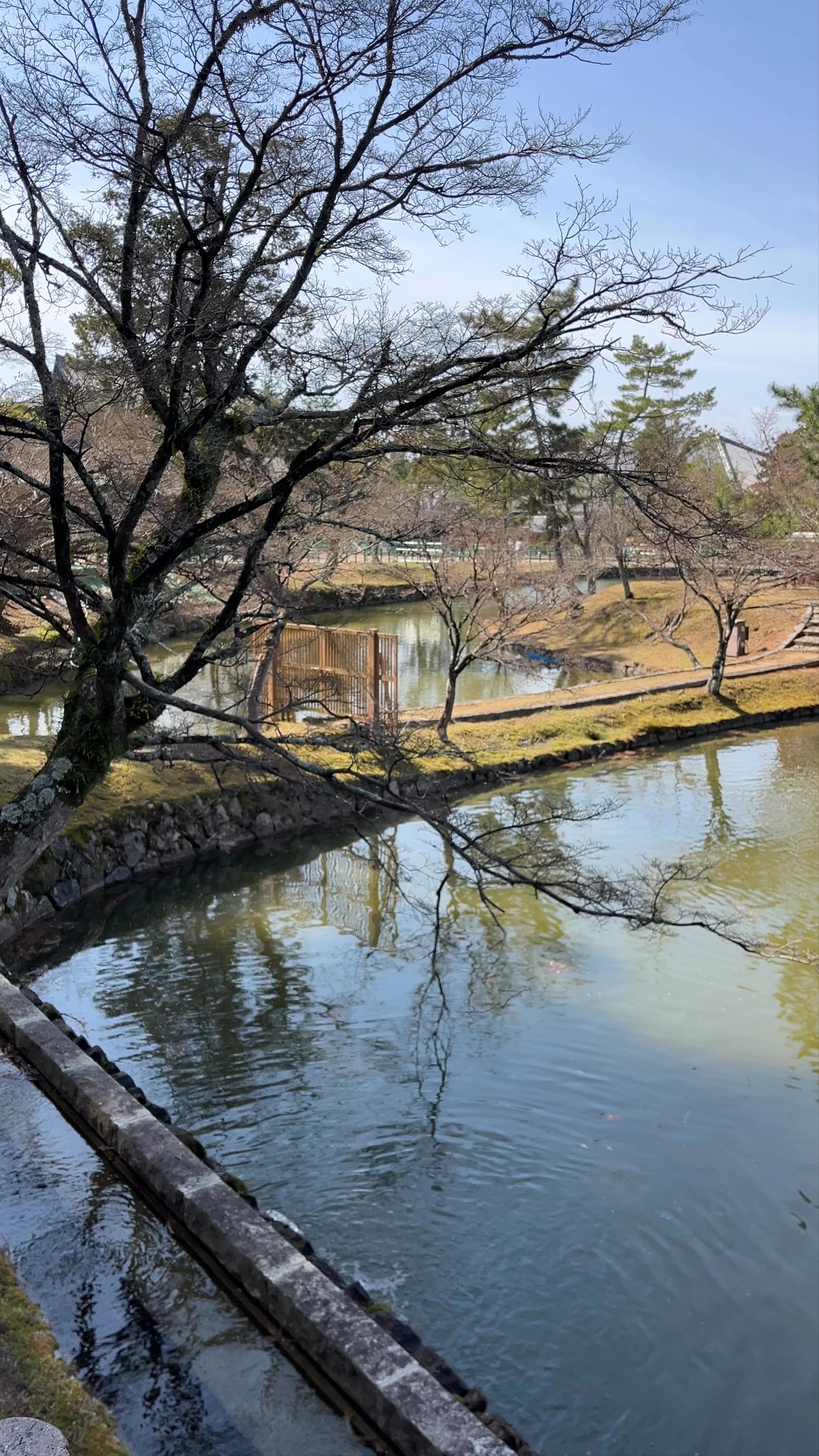 Todaiji Kagami-ike Pond