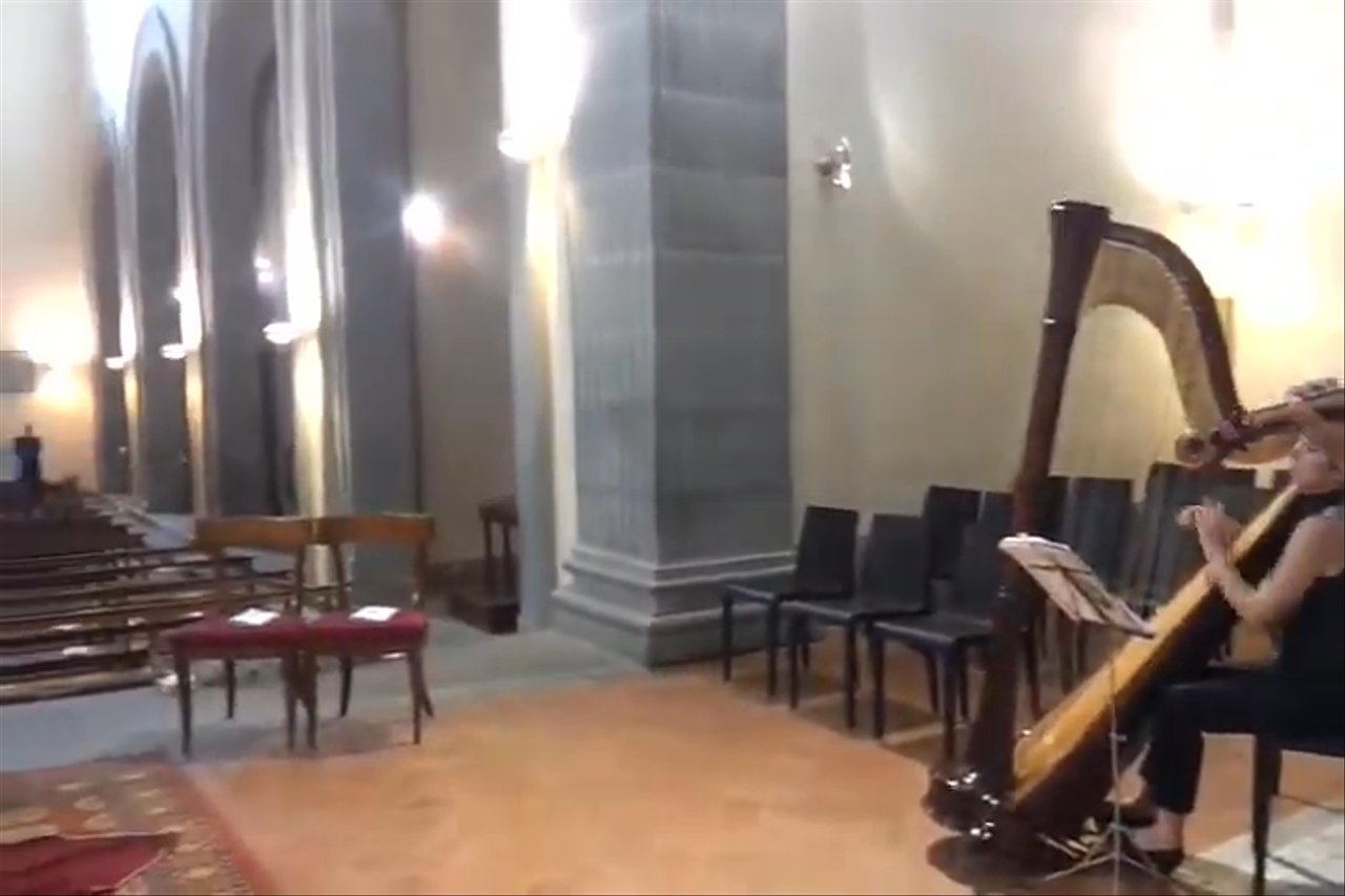 Tenor, Violin & Harp - Ave Maria - video