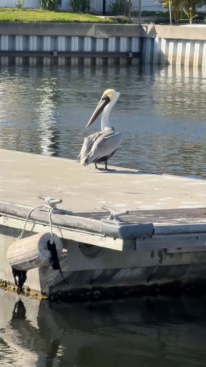Little Harbor Marinas - Marinas Near Me - Ruskin, Florida