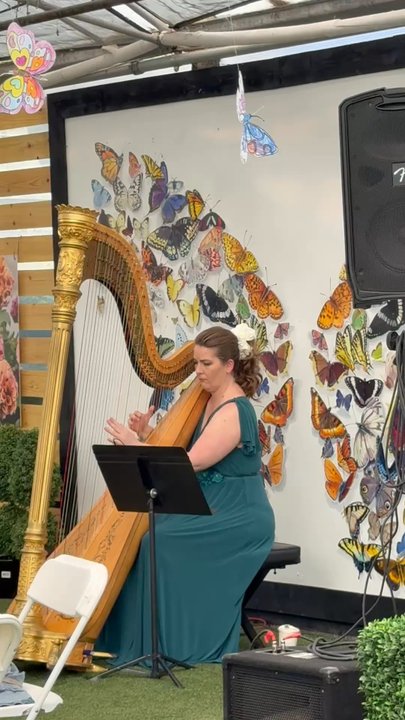 Tagawa Gardens - A beautiful harp concert at Tagawa! - Nurseries & Gardening Near Me - Centennial, Colorado