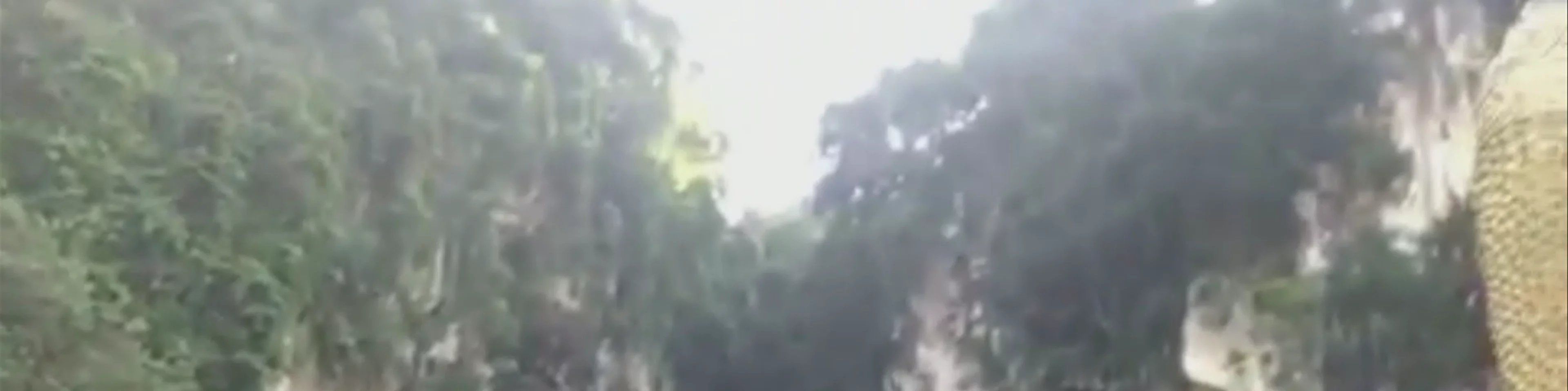 Batu Caves
