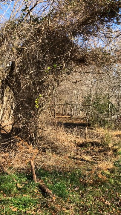 Widewater State Park - Hiking Near Me - Stafford, Virginia