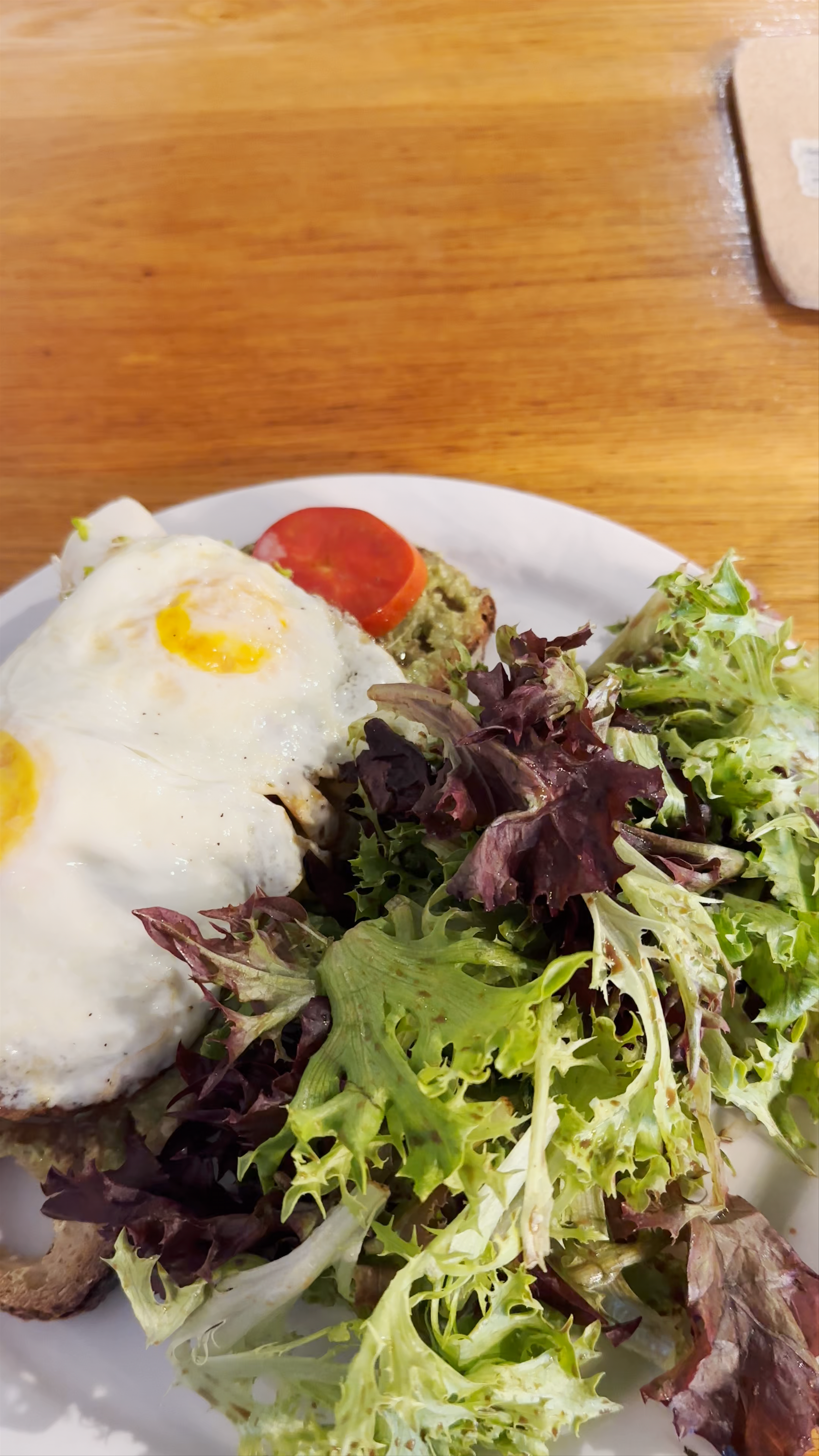 Frothy Monkey Nashville Breakfast & Cozy Cafe Ambiance Walkthrough