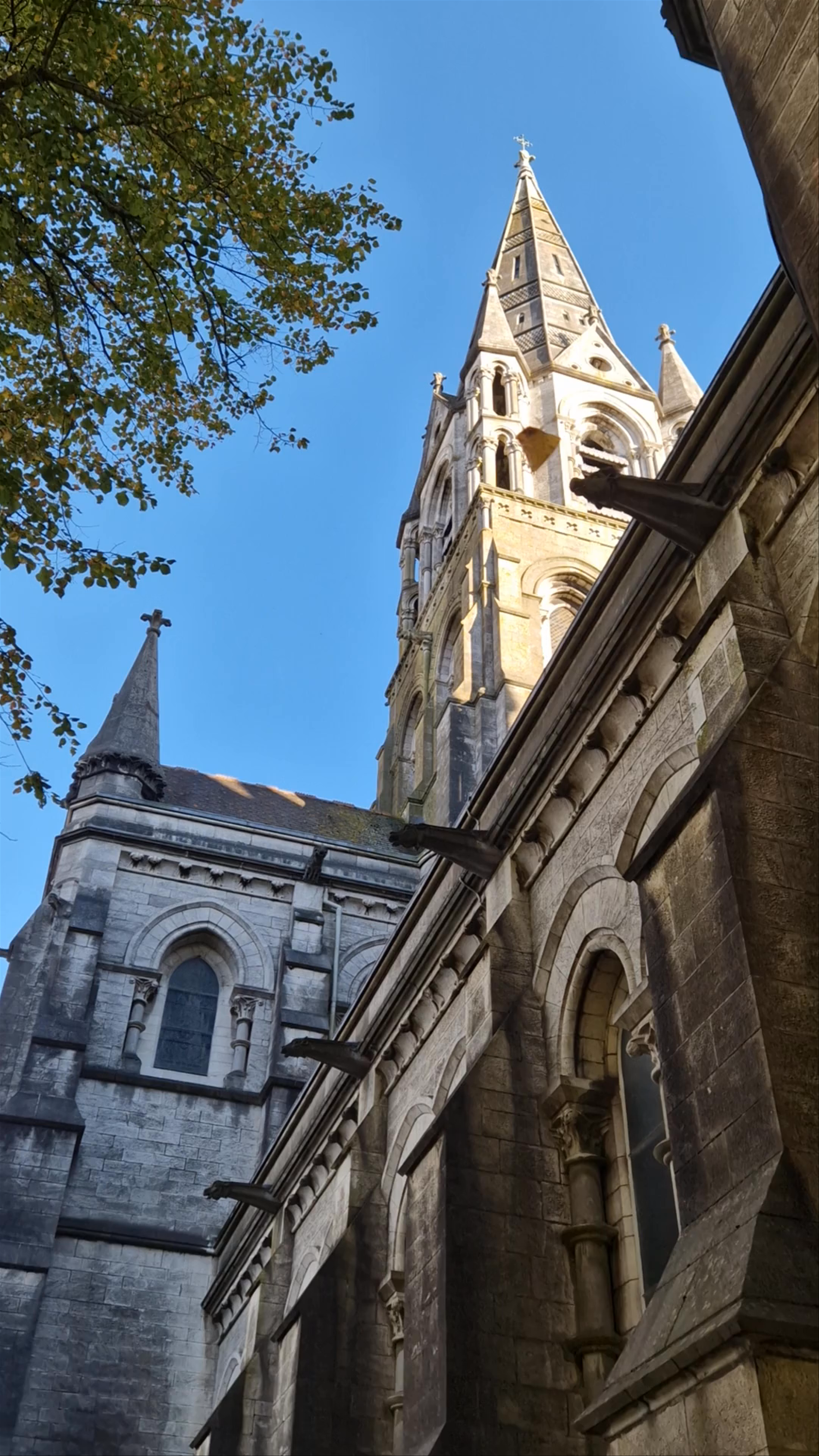 Saint Fin Barre's Cathedral