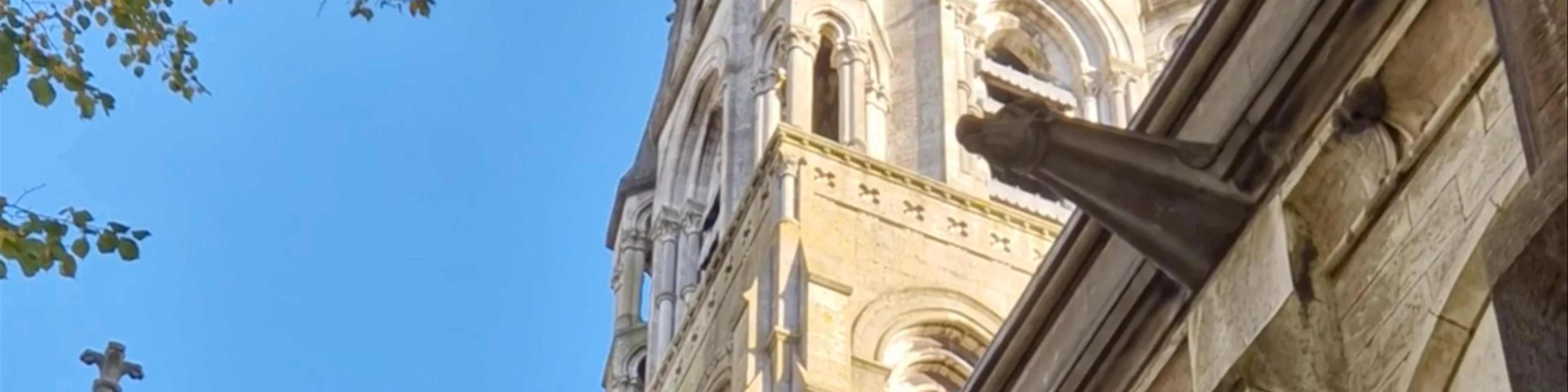 Saint Fin Barre's Cathedral