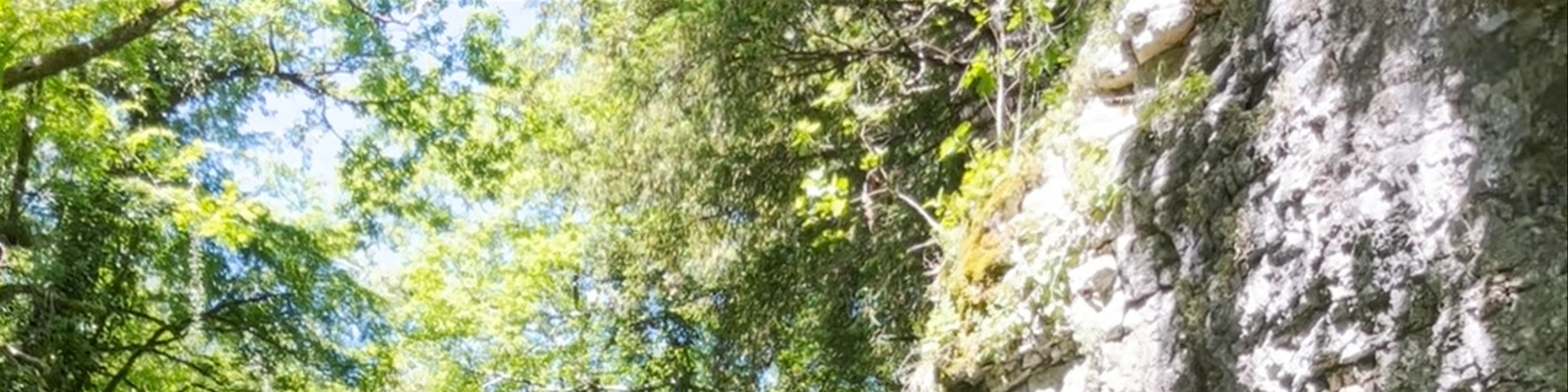 Martvili Canyon