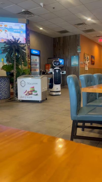 Aloha Express - Our server was a cute robot kitty! - Hawaiian Near Me - Visalia, California