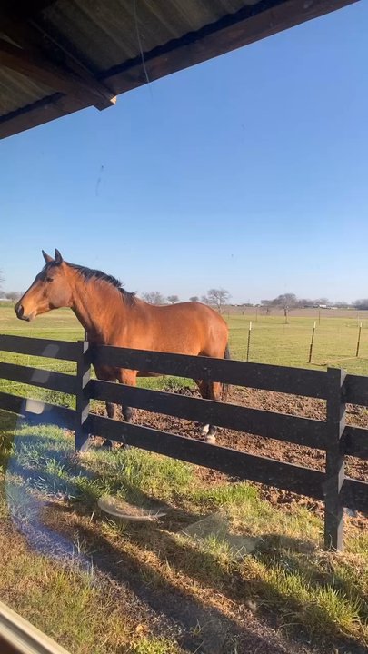 Fly By Night Cattle Company Steakhouse - Dinner views of the back pasture out the windows - Steakhouses Near Me - Cleburne, Texas