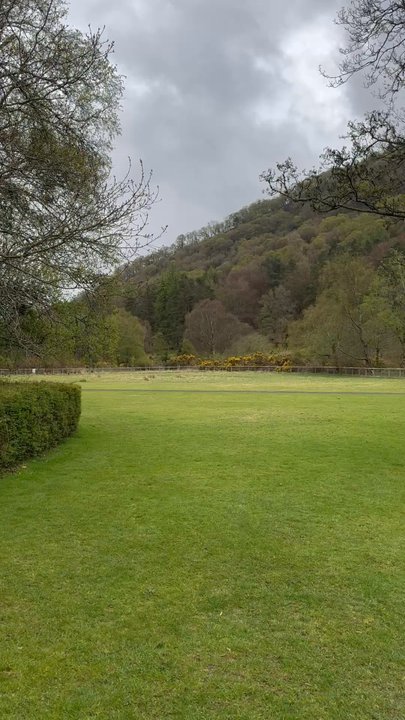 Glendalough - Local Flavor Near Me - Bray, WW