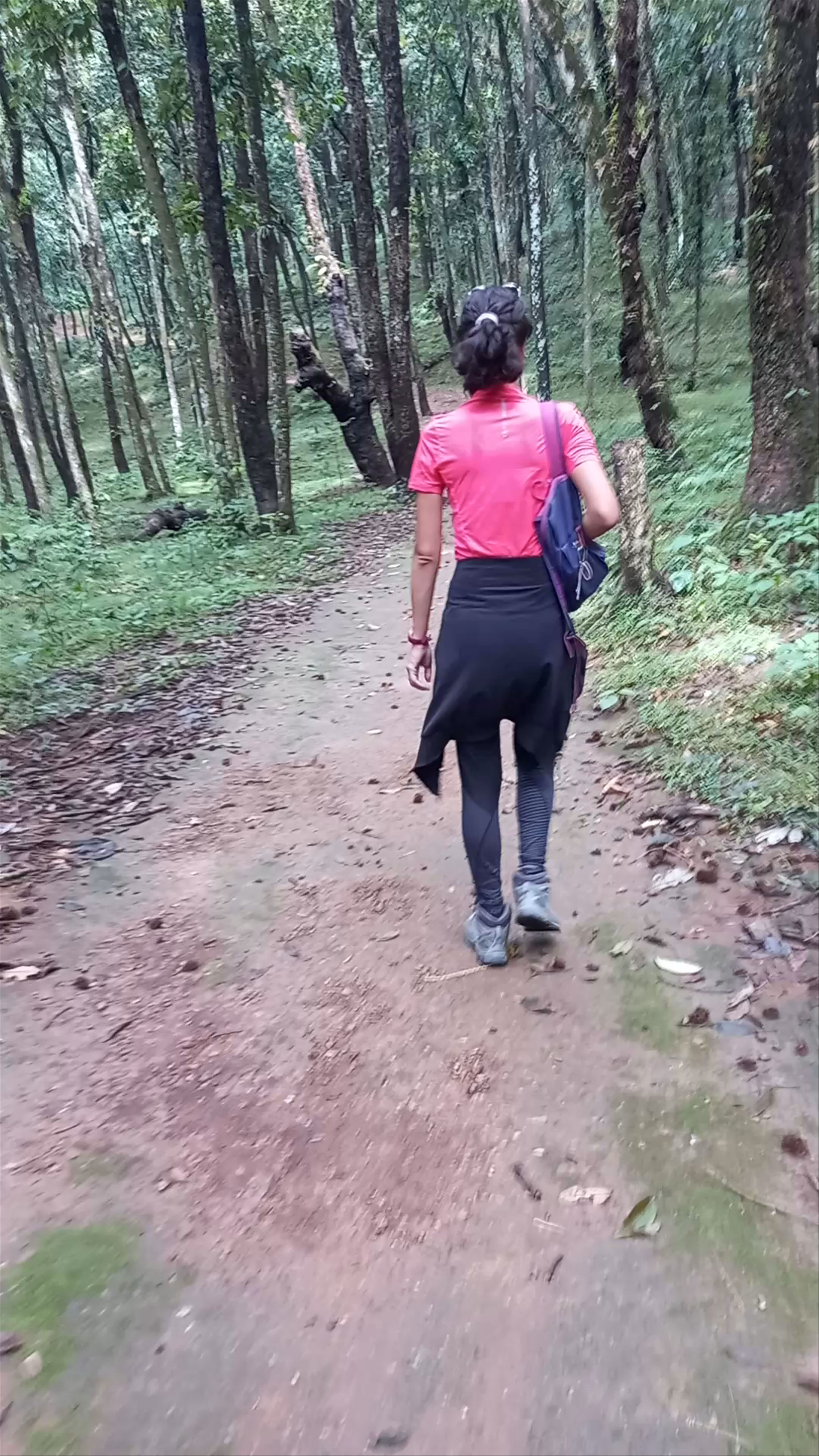 Serene Forest Walk at Basundhara Park, Pokhara