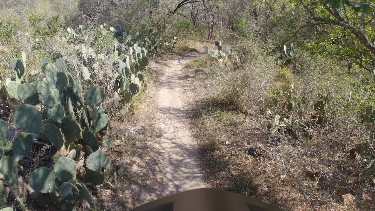 Video thumbnail 12 more videos