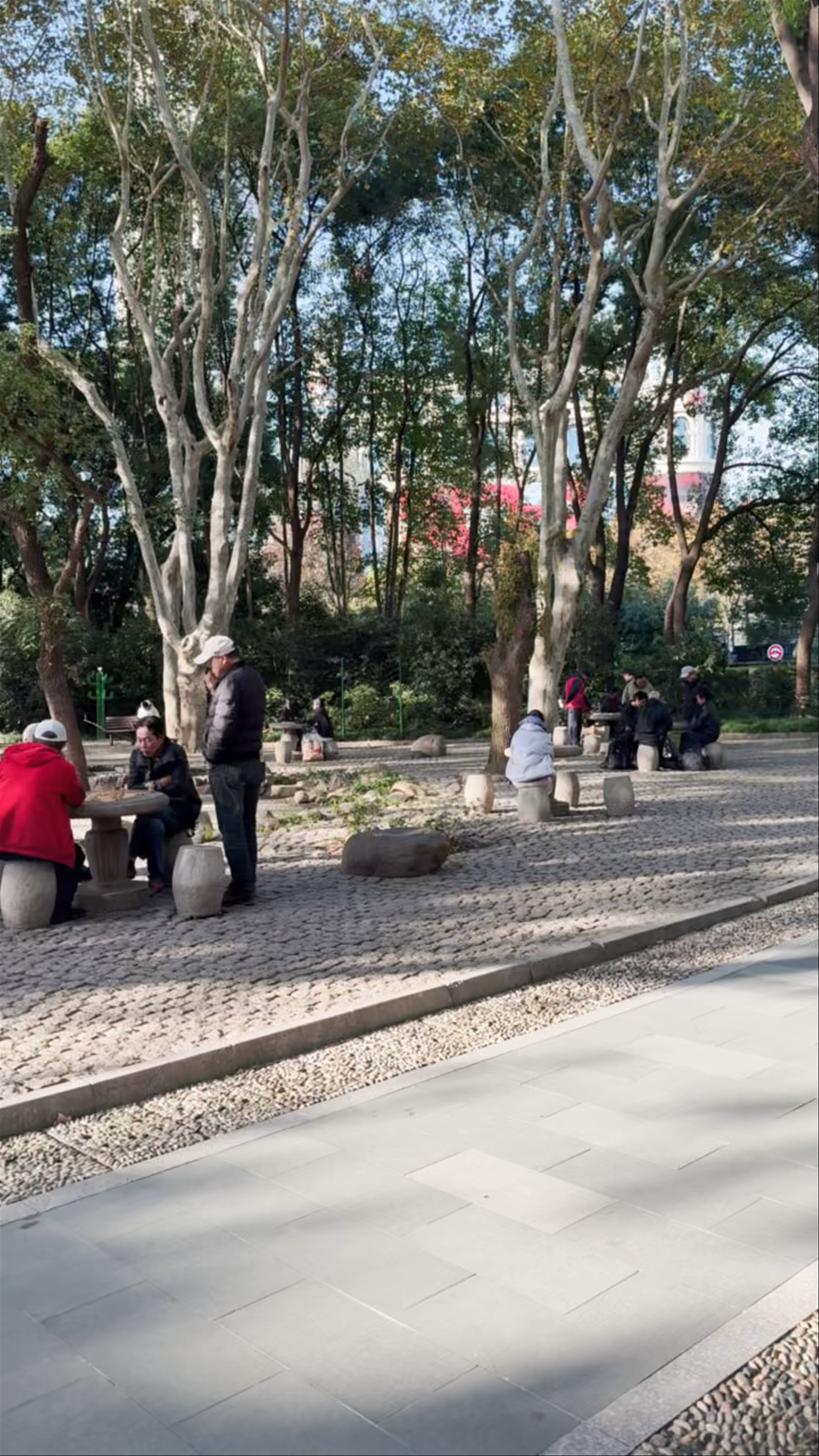Peaceful Moments at People's Park, Shanghai
