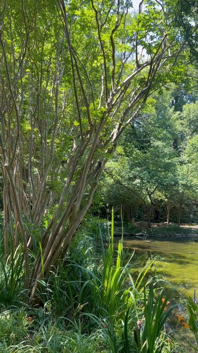 Valley House Gallery - Gorgeous Four-Acre Sculpture Garden! (May, 2026) - Art Galleries Near Me - Dallas, Texas