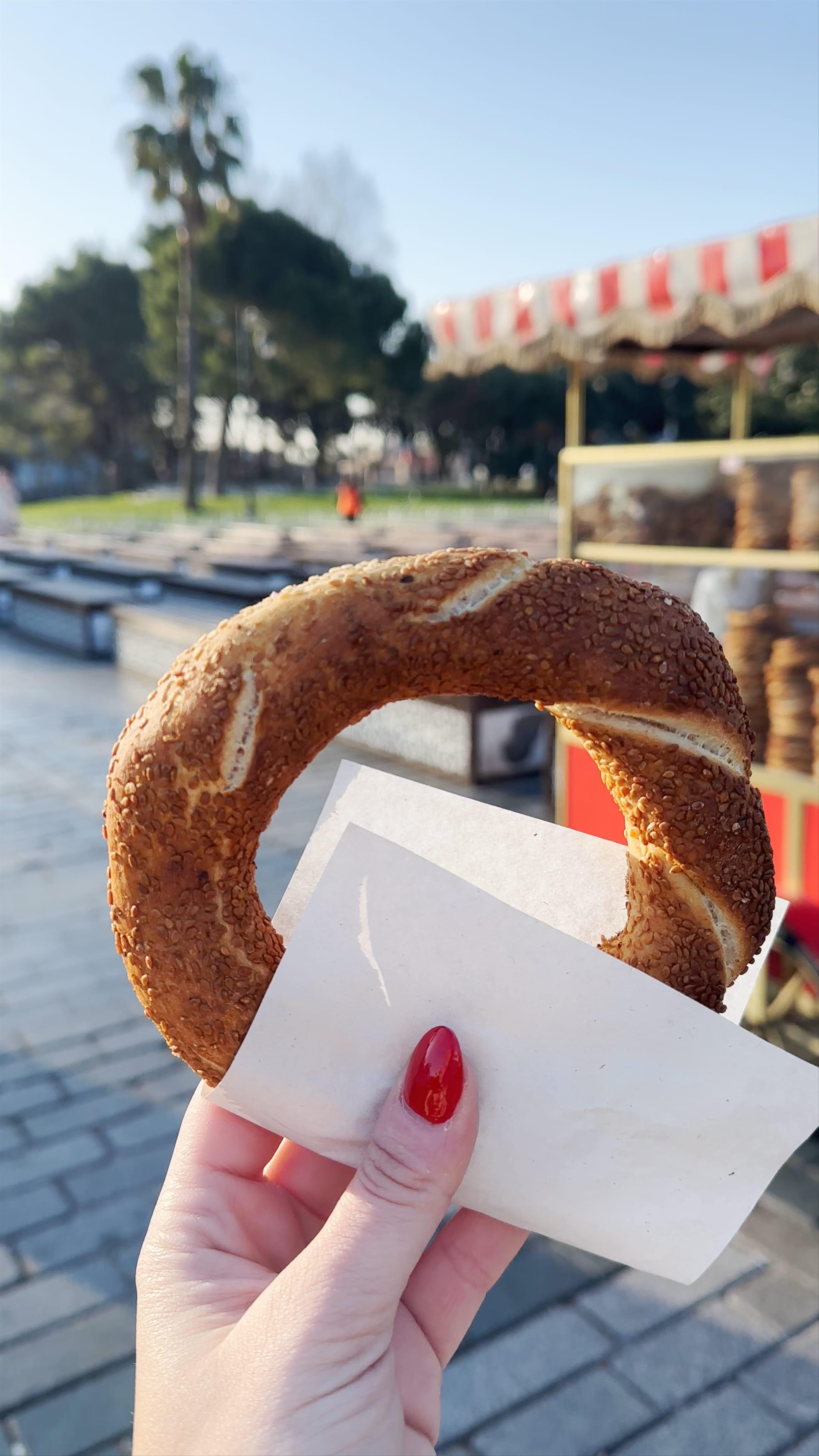 Enjoying Simit and Historic Views at Binbirdirek, Istanbul