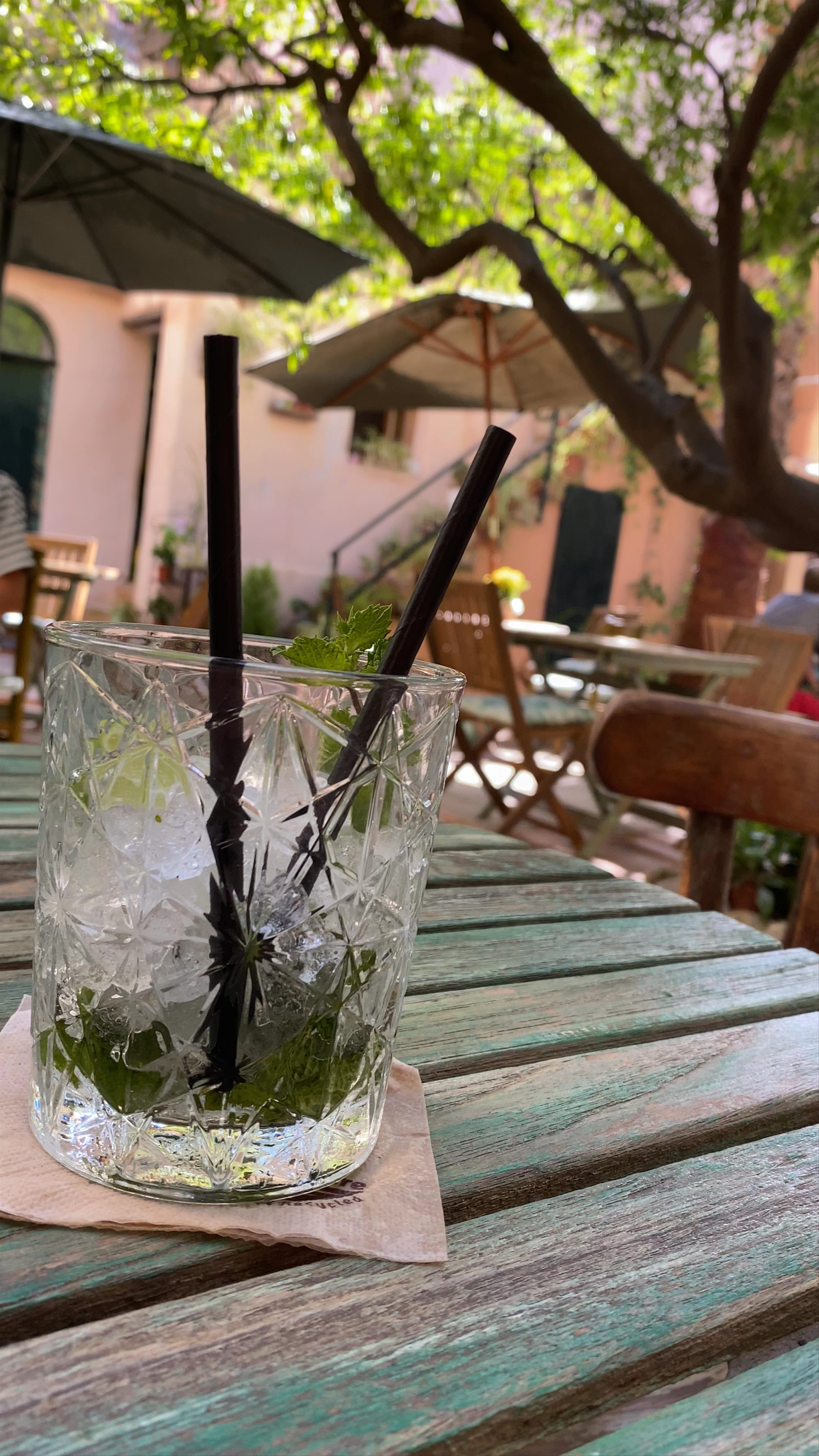 Tranquil Garden Escape at Temple Natura Café, Palma