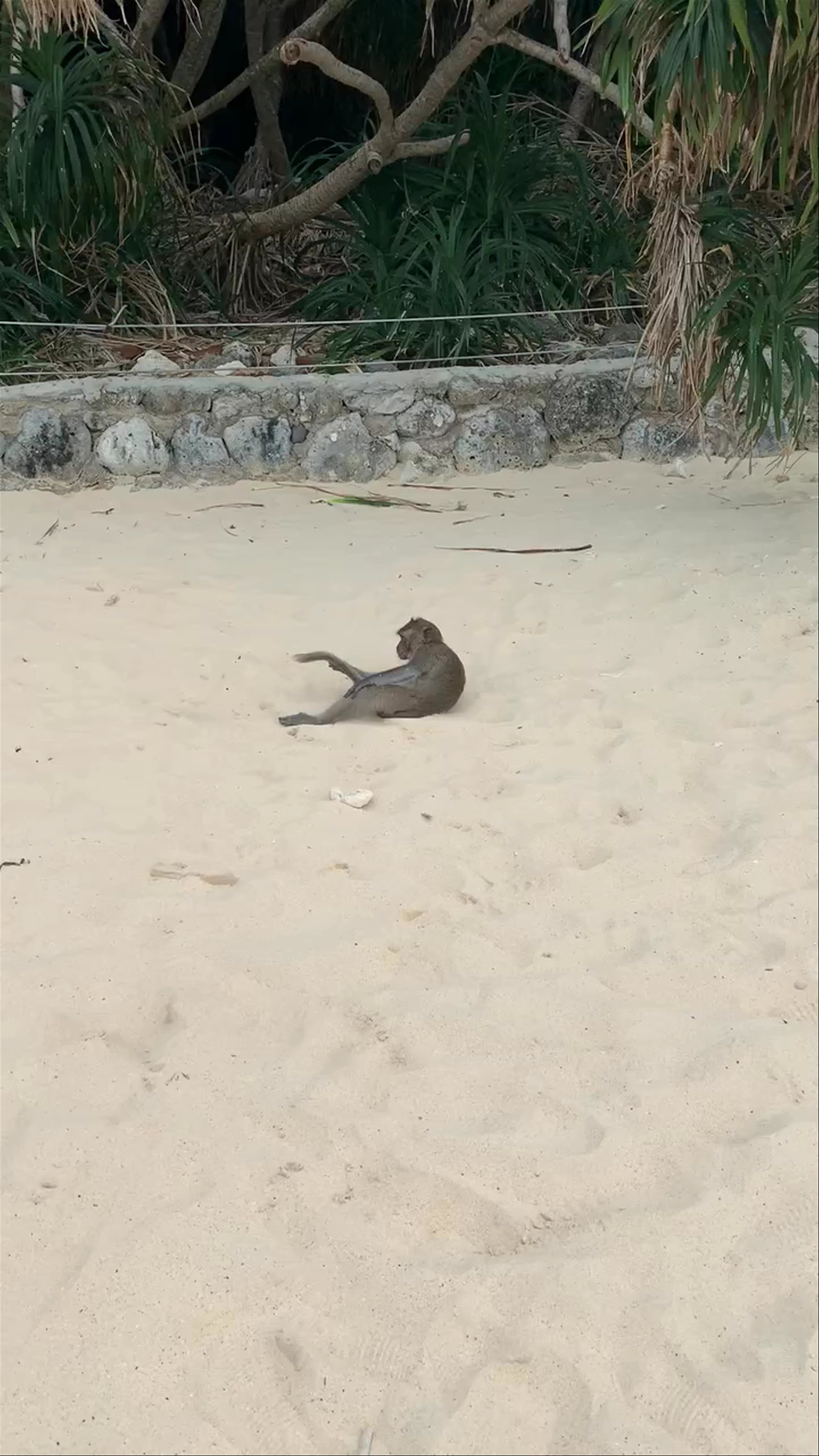 Monkey Island Beach, Cat Ba