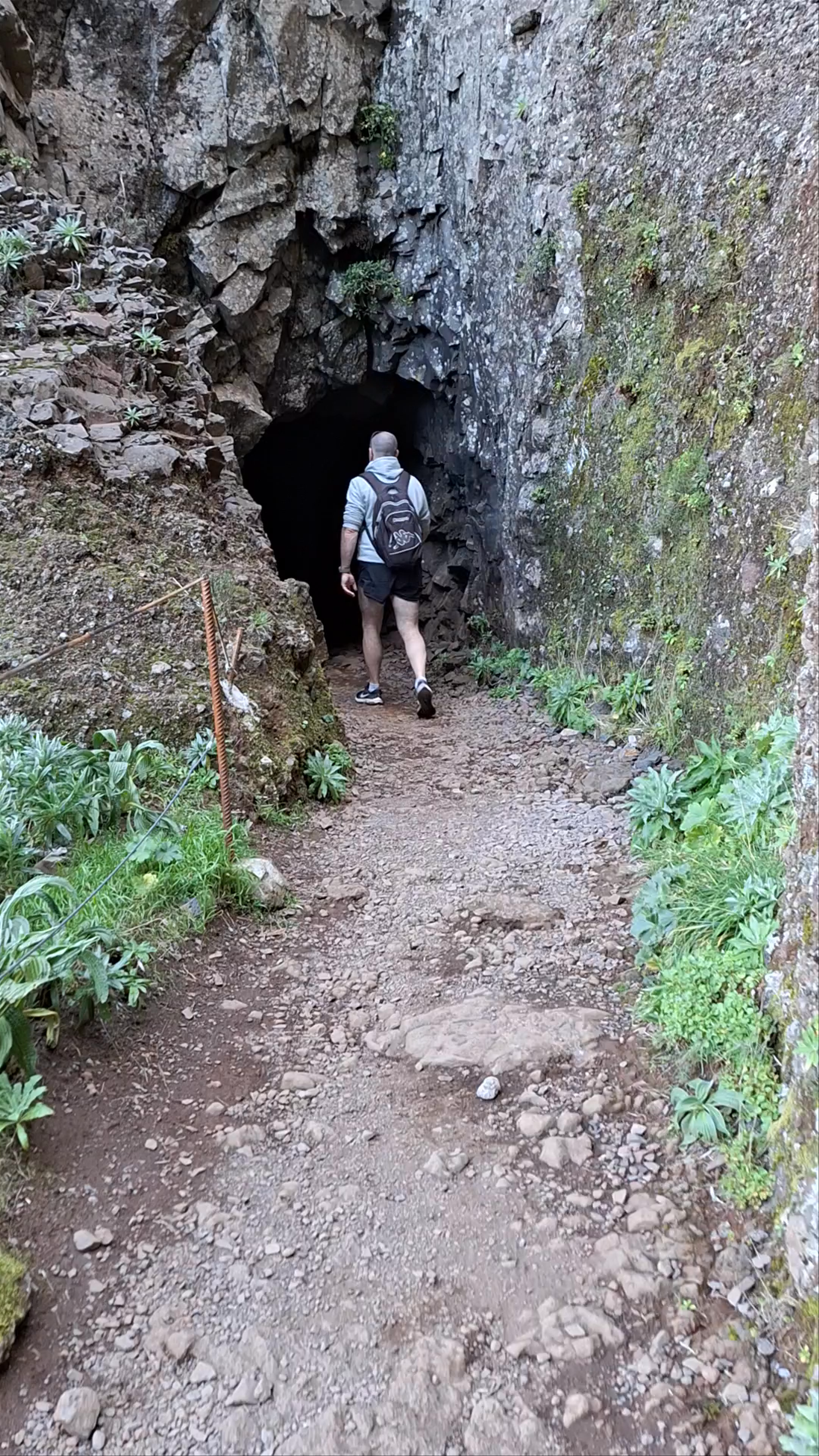 PR1.2 Vereda do Pico Ruivo