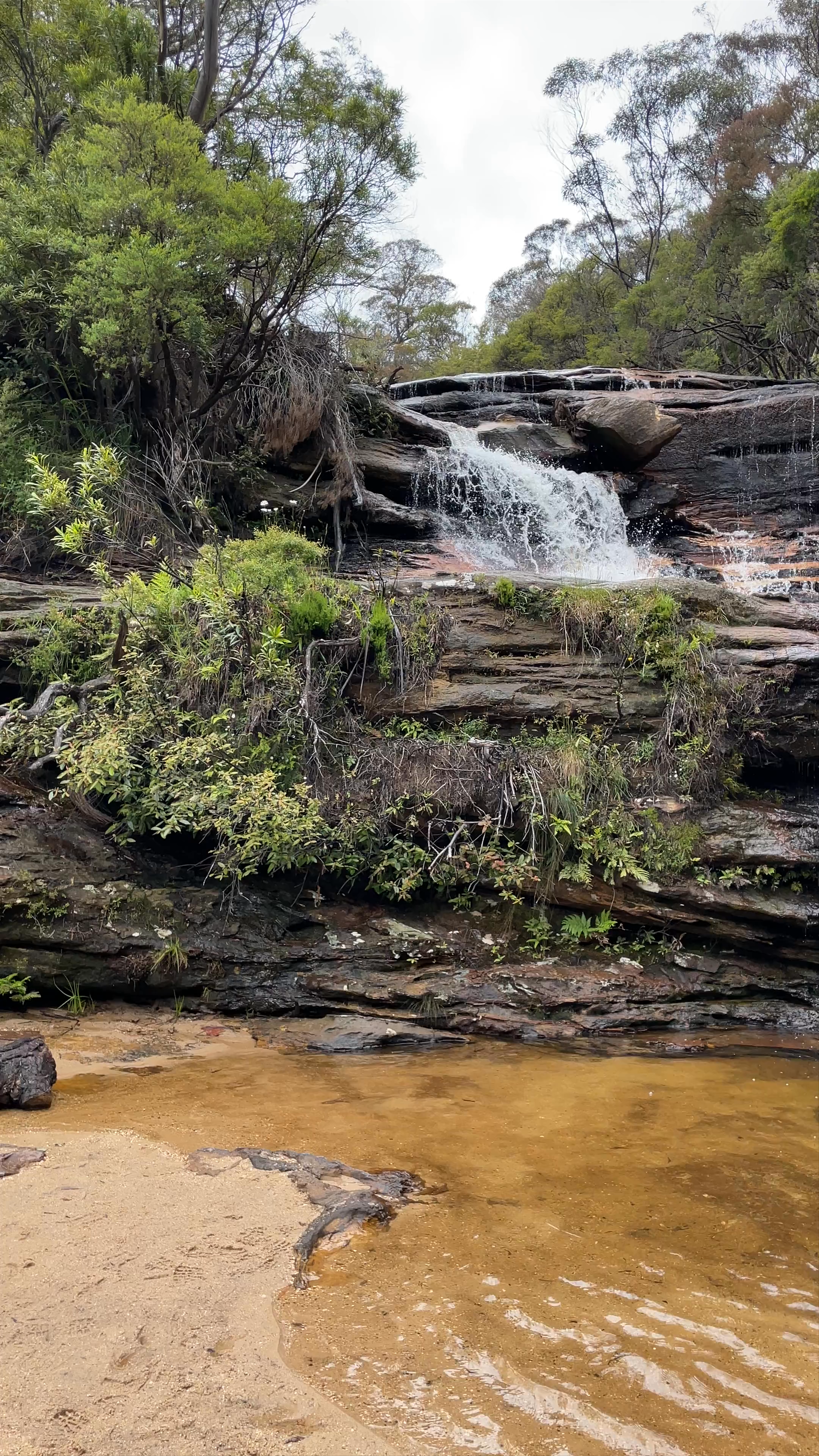 Jamison Creek
