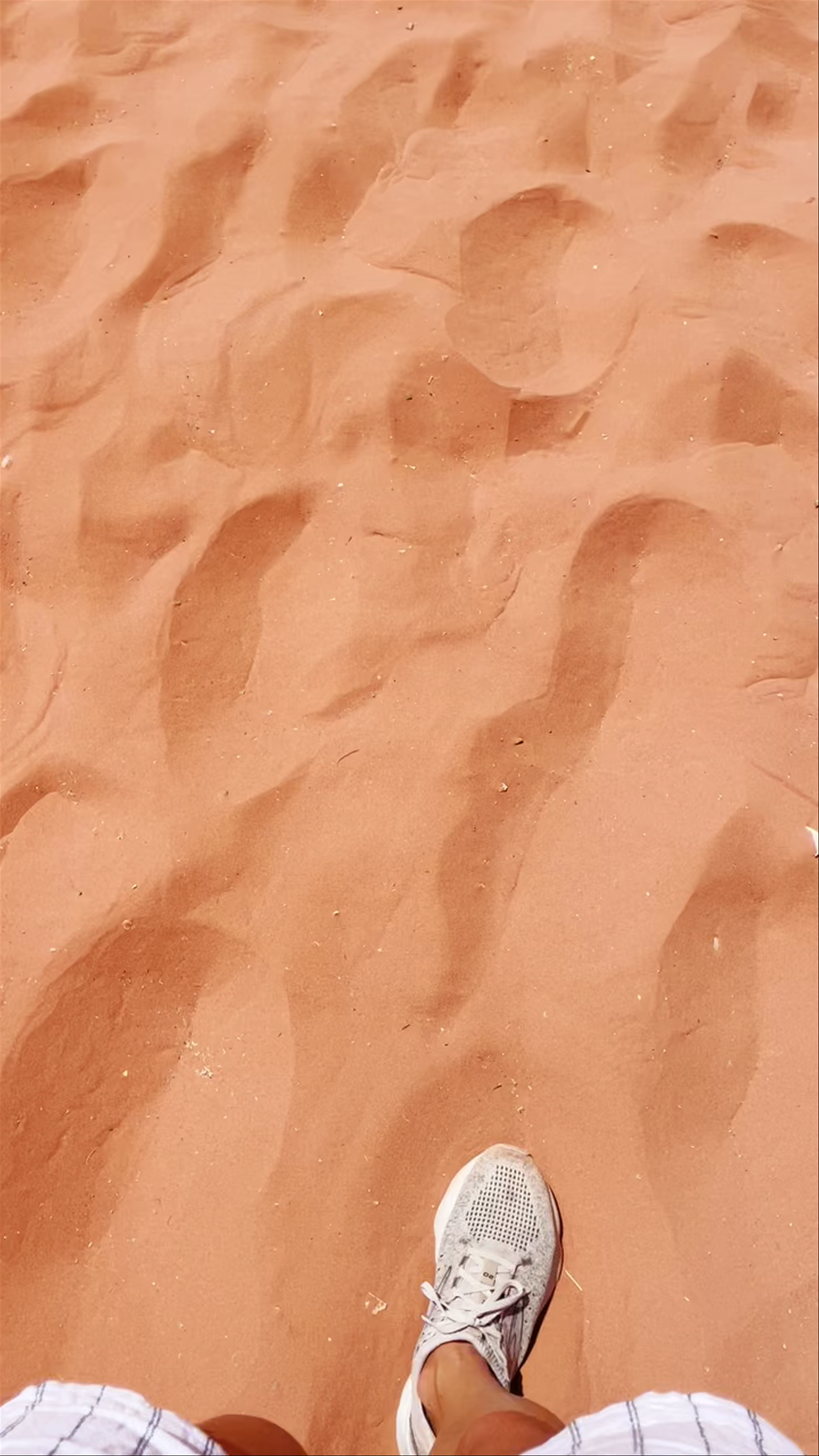 Wadi Rum Protected Area