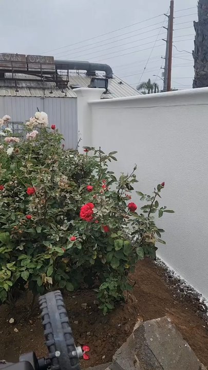 Pineda Lath & Plastering - After - Stucco Services Near Me
