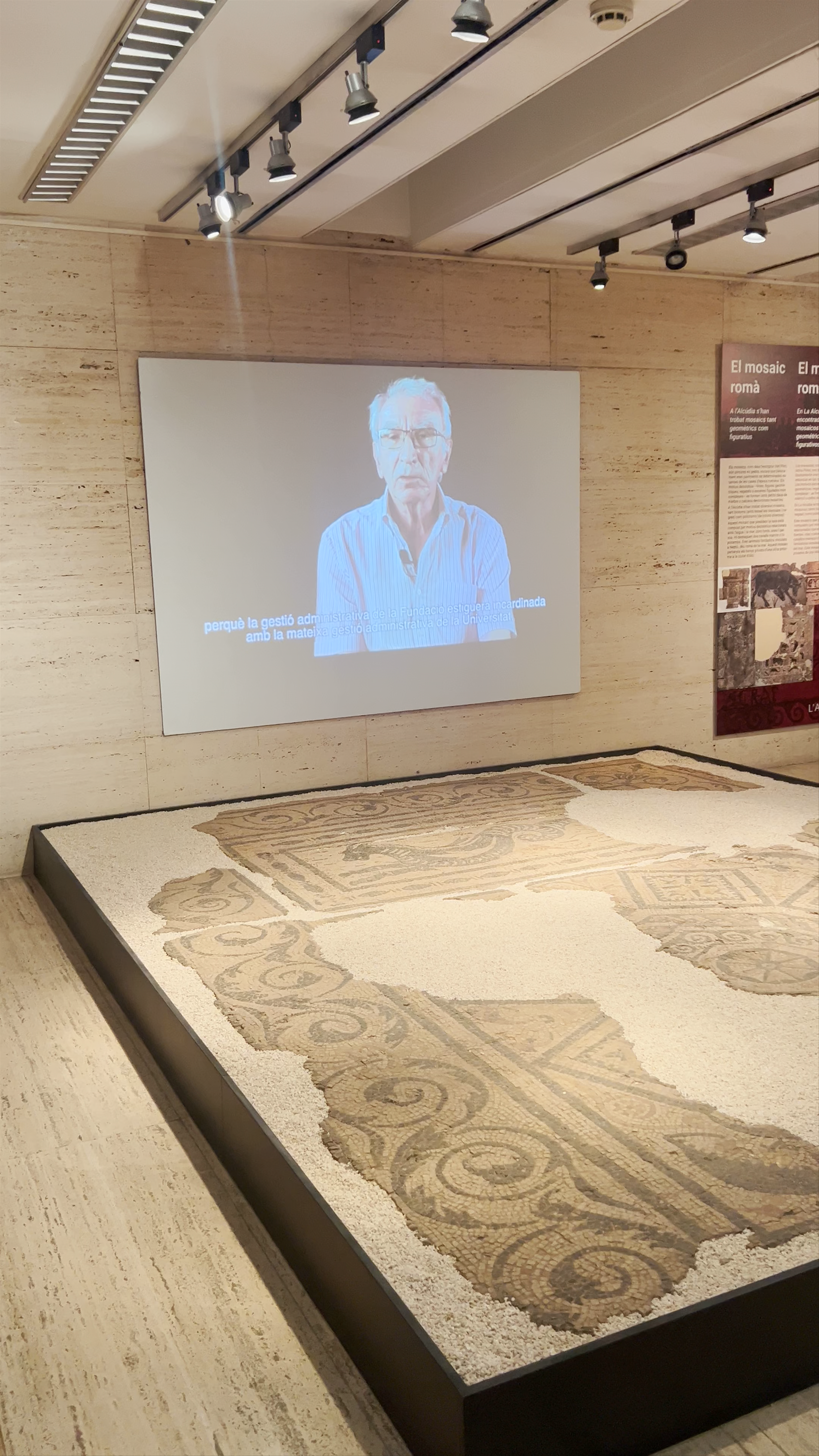 Exploring the Museo de la Universidad de Alicante: Timeless Roman Mosaics