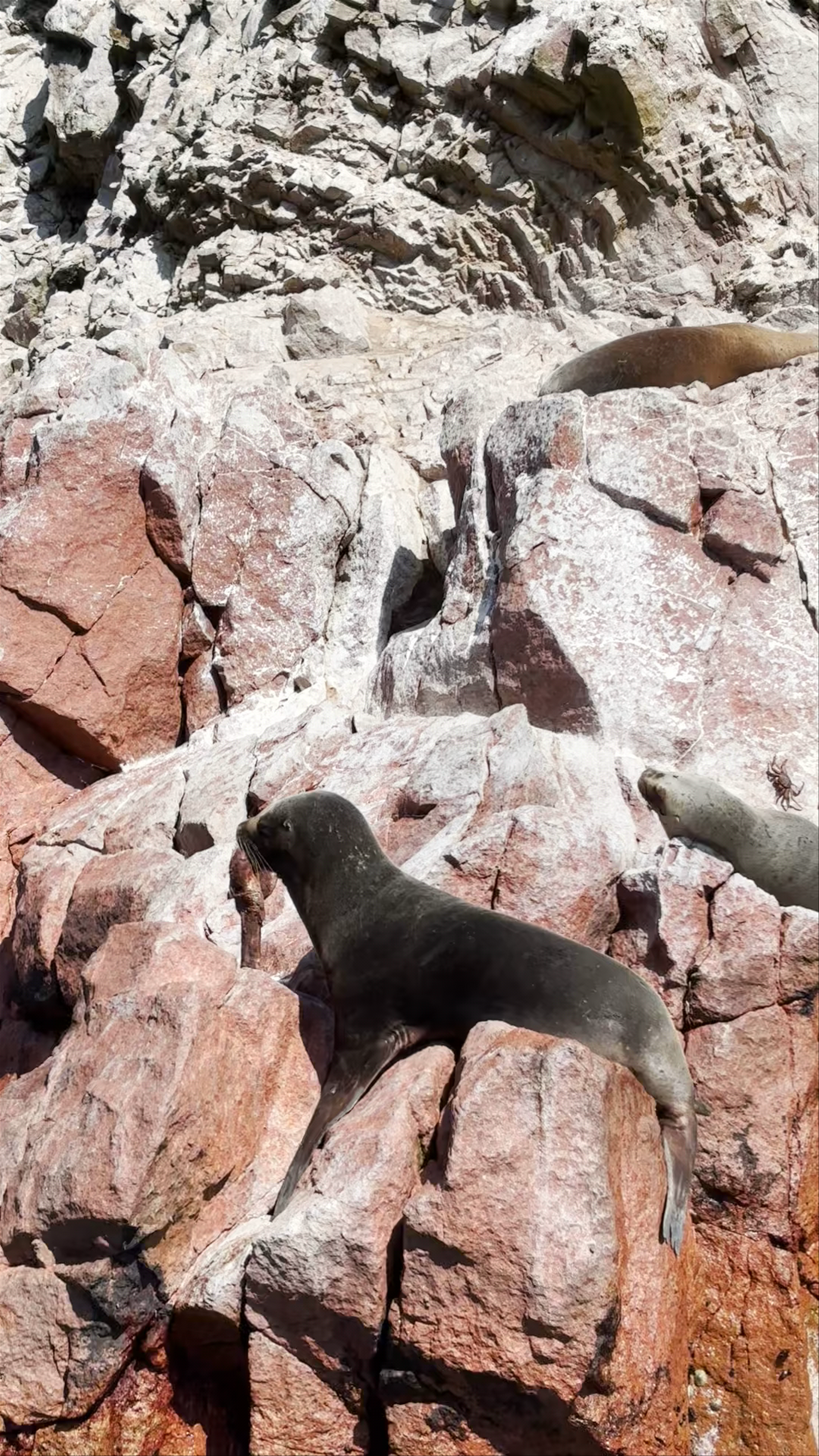 Reserva Nacional Sistema de Islas