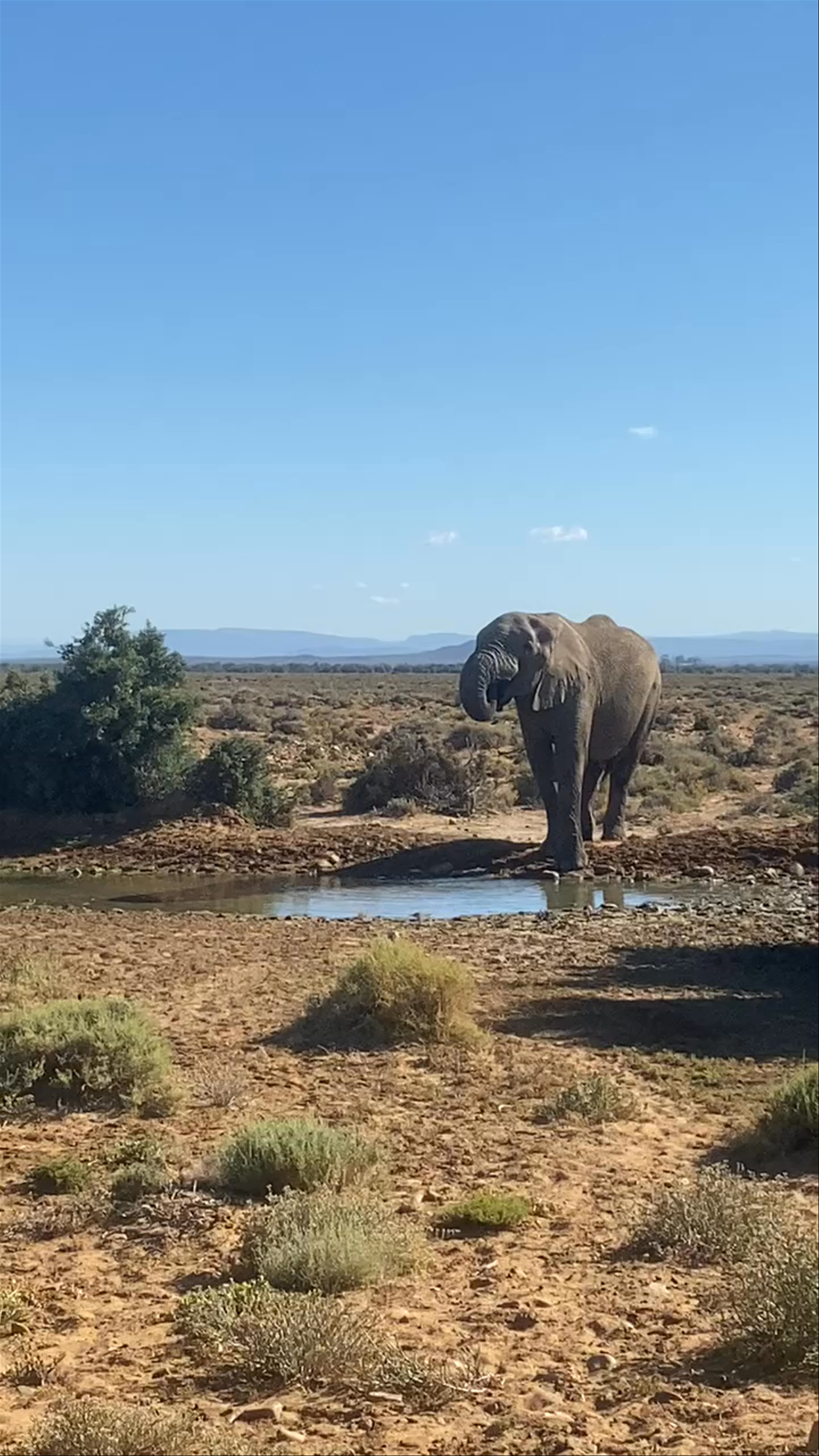 Inverdoorn Game Reserve