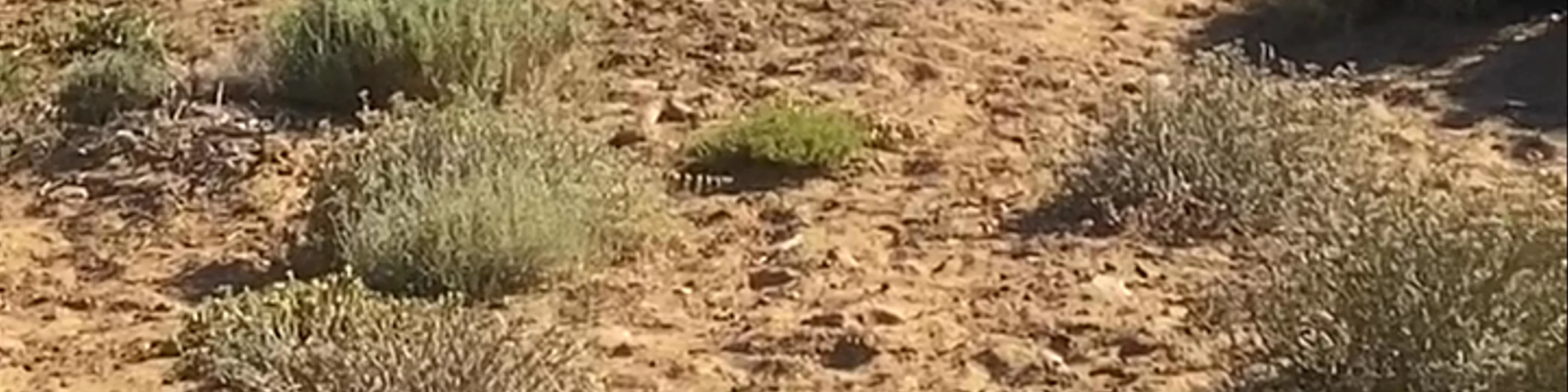 Inverdoorn Game Reserve