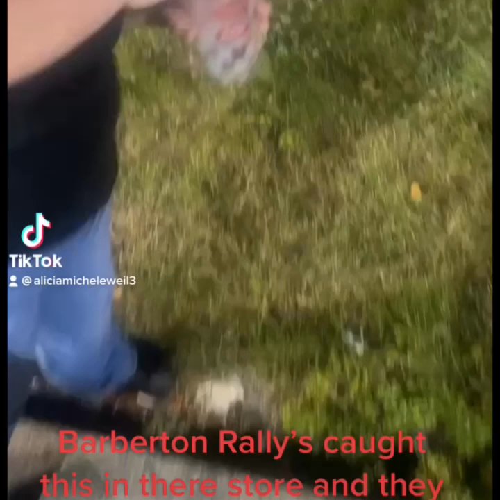 Rally's - They caught a mouse in their store and decided to record this video this is beyond disgusting don't recommend eating here ever - Burgers Near Me - Barberton, Ohio