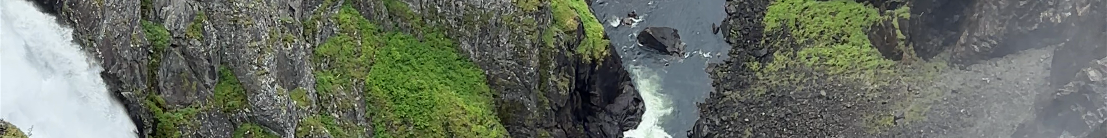 Tours & experiences in Eidfjord