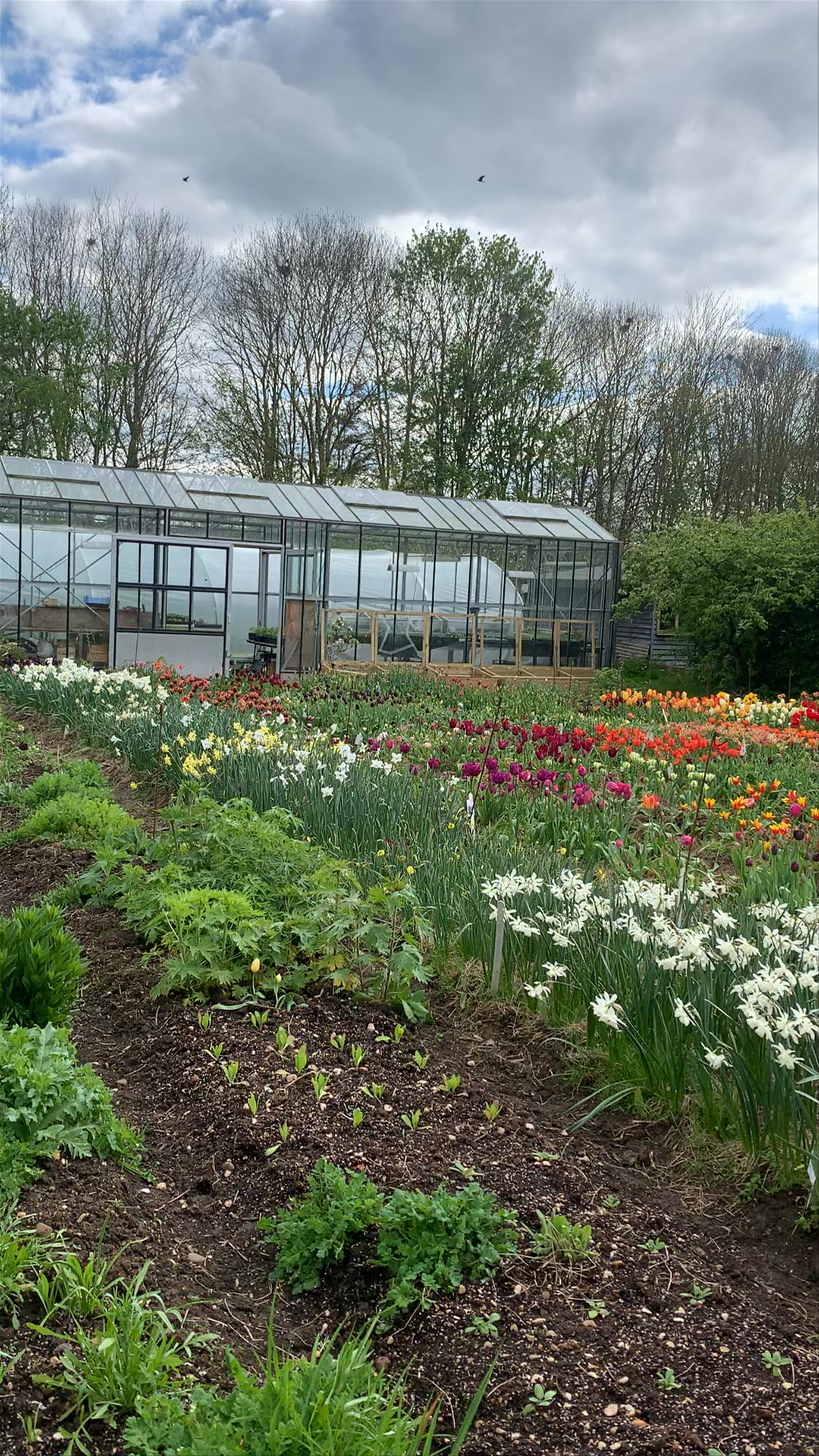 Worton Kitchen Garden