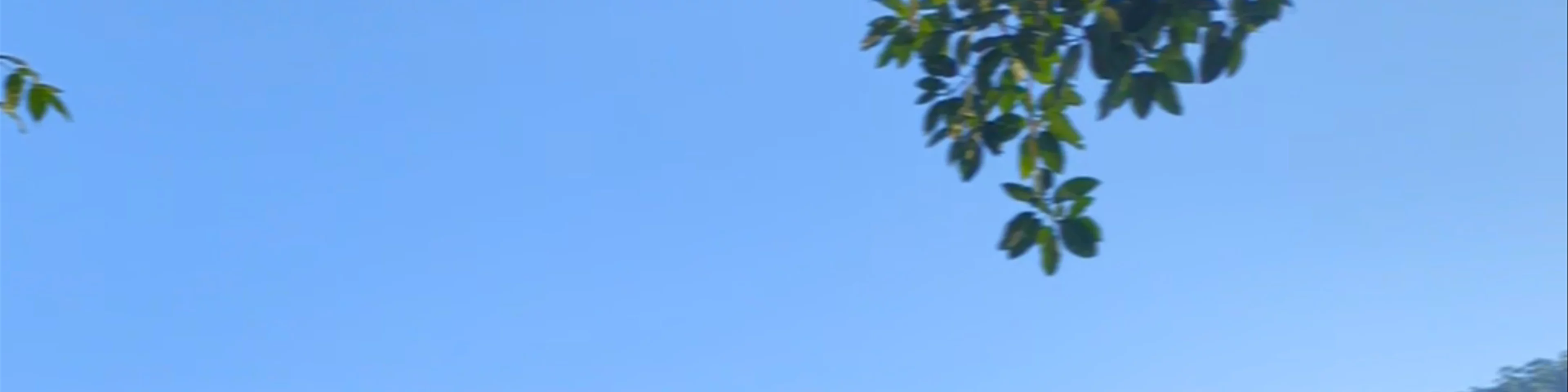 Boca de Tomatlán