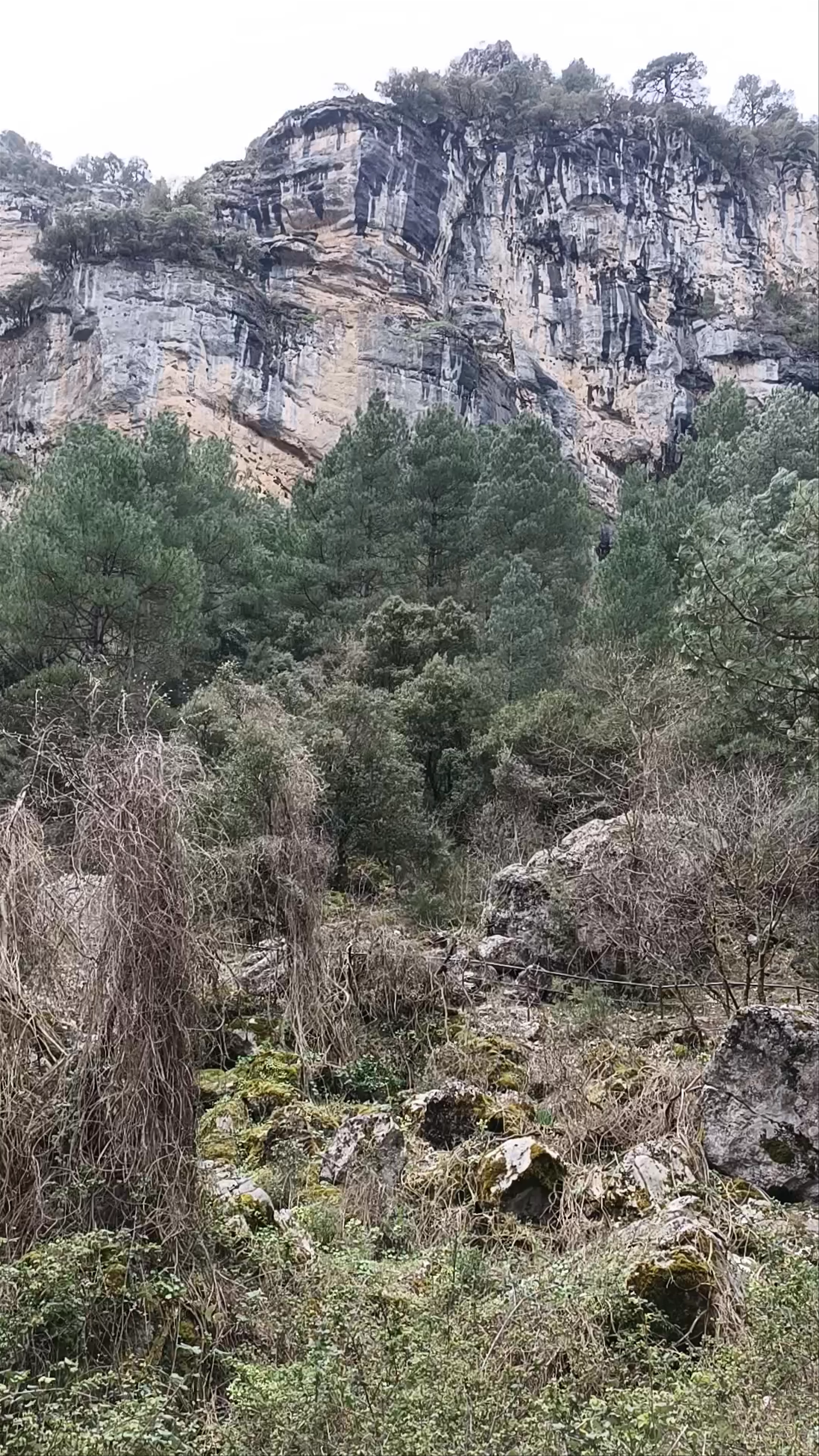 Parque Natural de Los Calares del río Mundo y de la Sima Monte Ardal