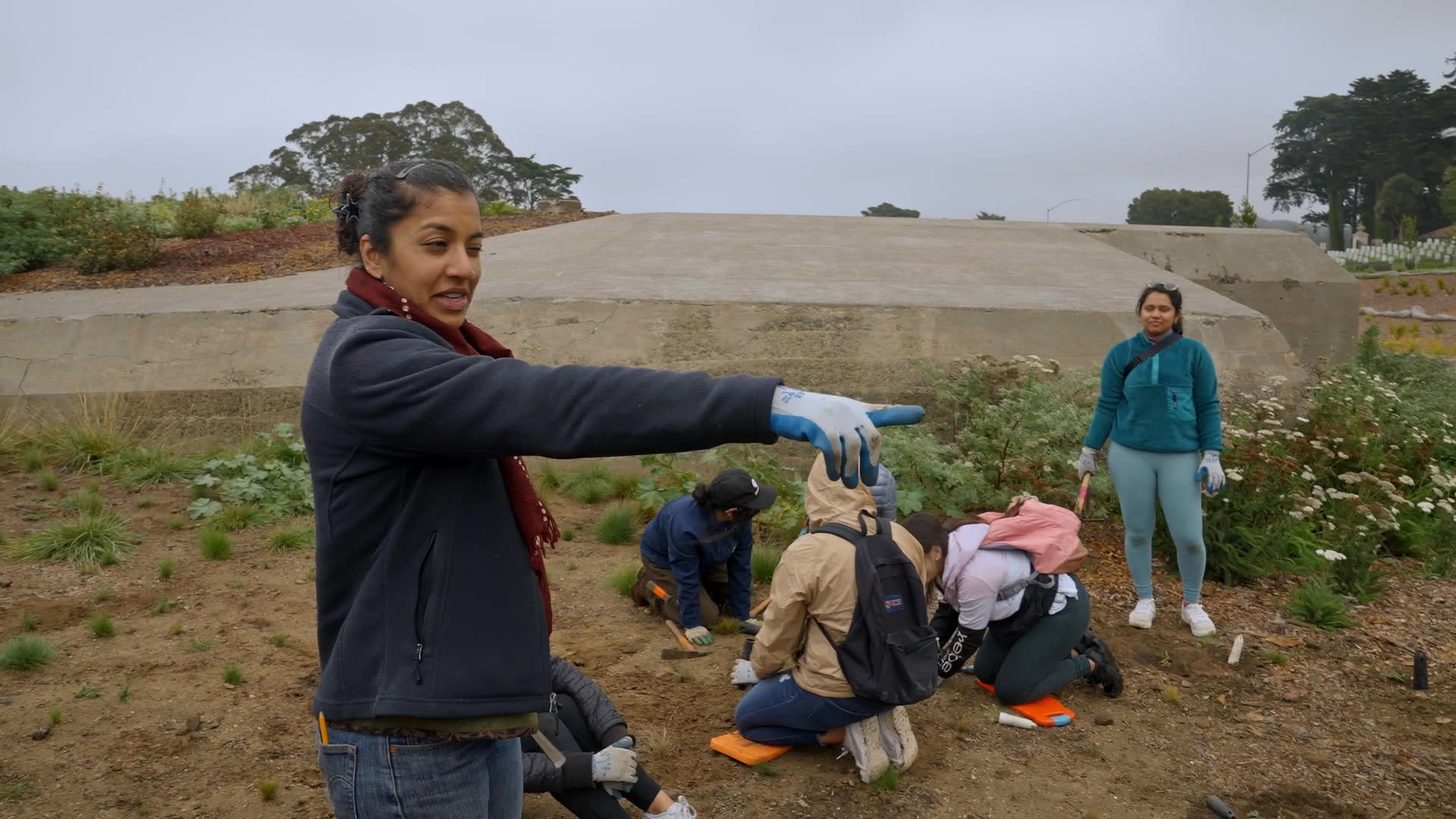 Children and adults work together to plant coastal strawberries in an open field, pressing soil around the plants with gloved hands and small tools. A facilitator points out the strawberries’ red leaves and runners as the group works beneath an overcast sky.