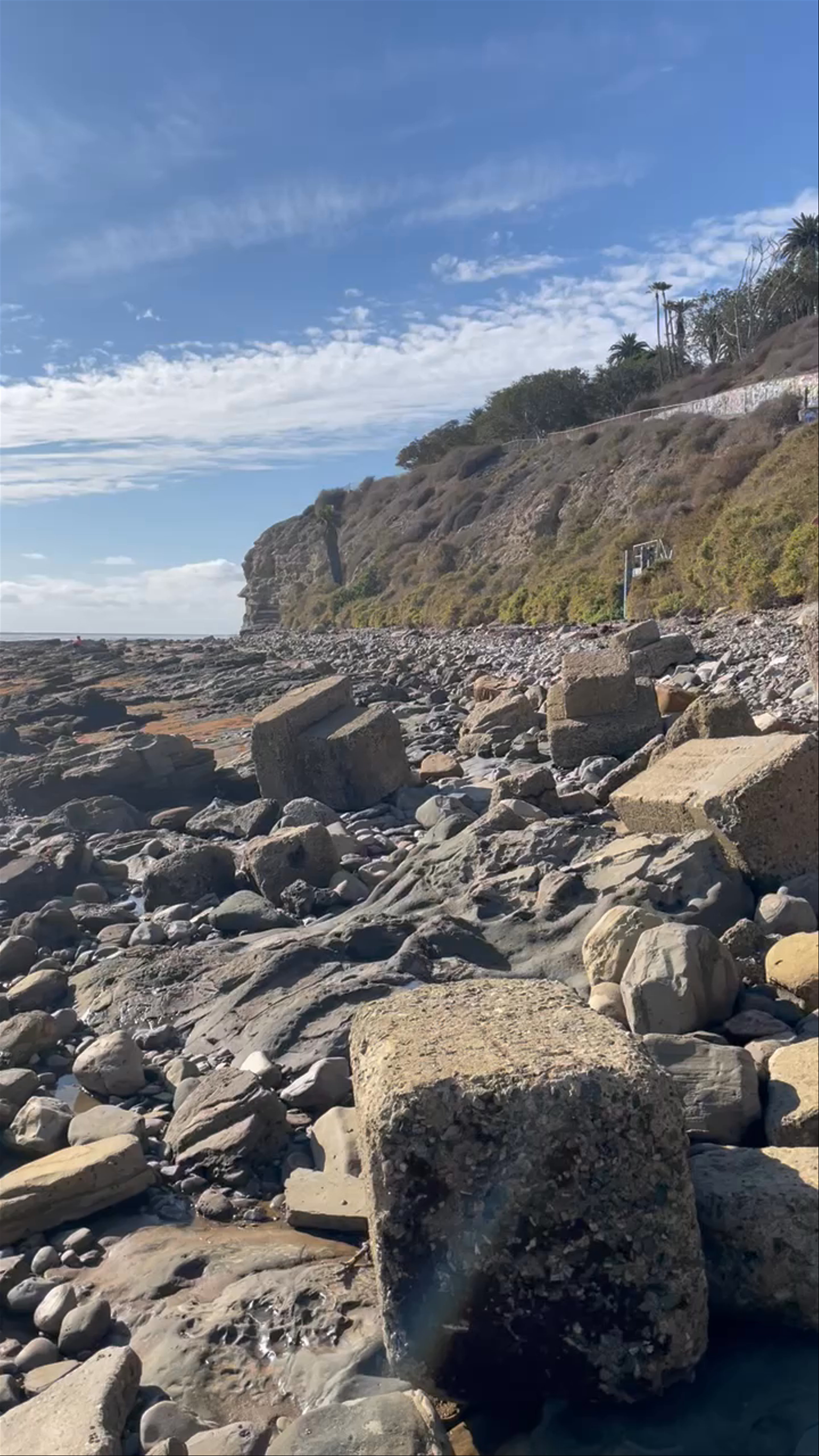 Point Fermin Park Rocky Shoreline and Coastal Cliffs