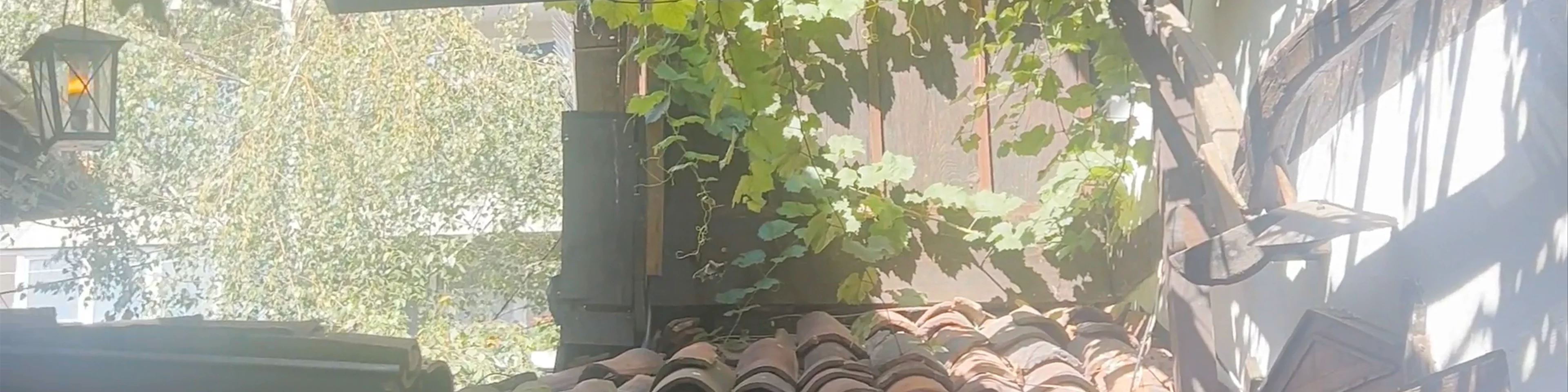 Hadjidraganov's Houses Restaurant