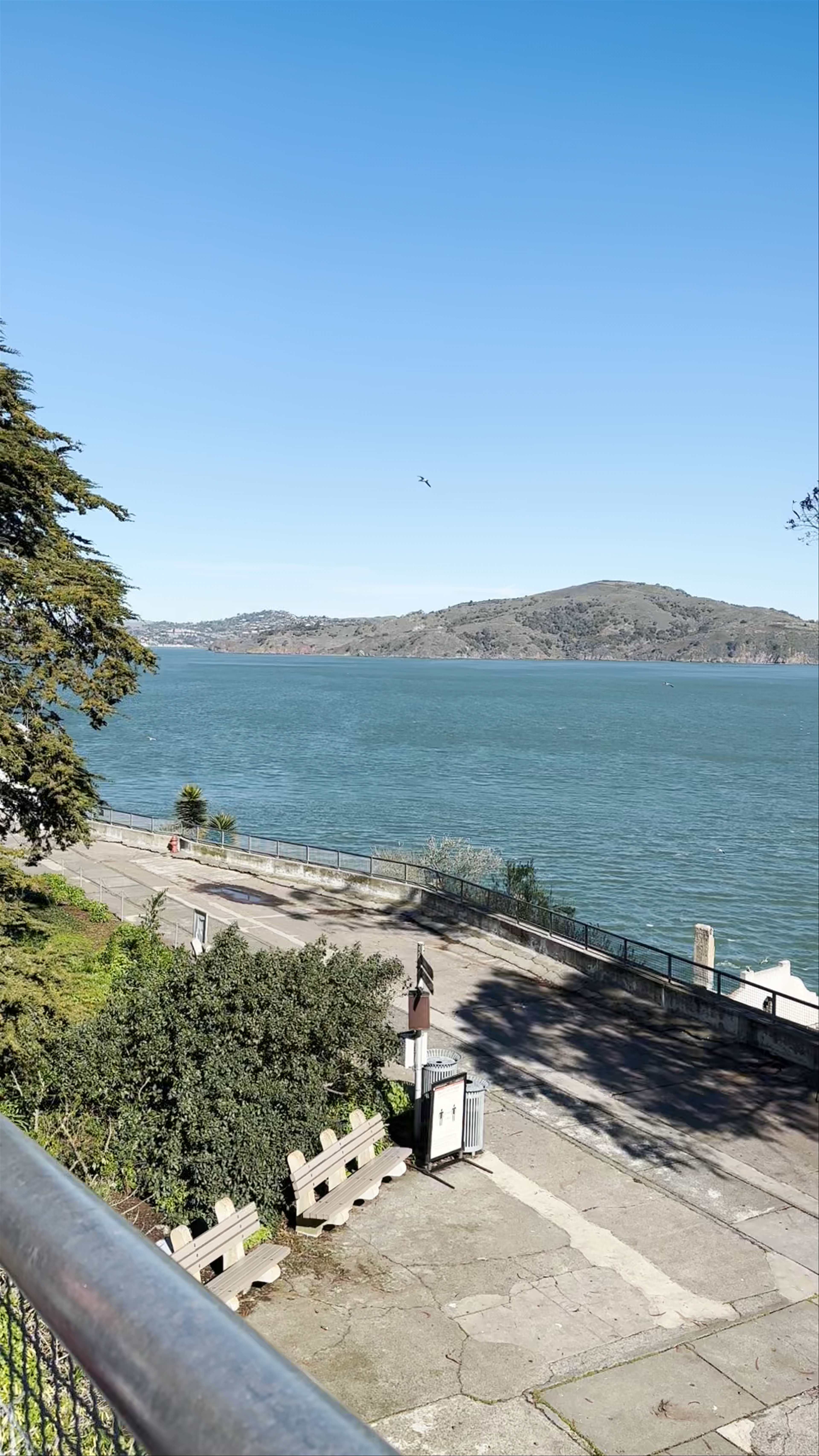 Alcatraz City Cruises