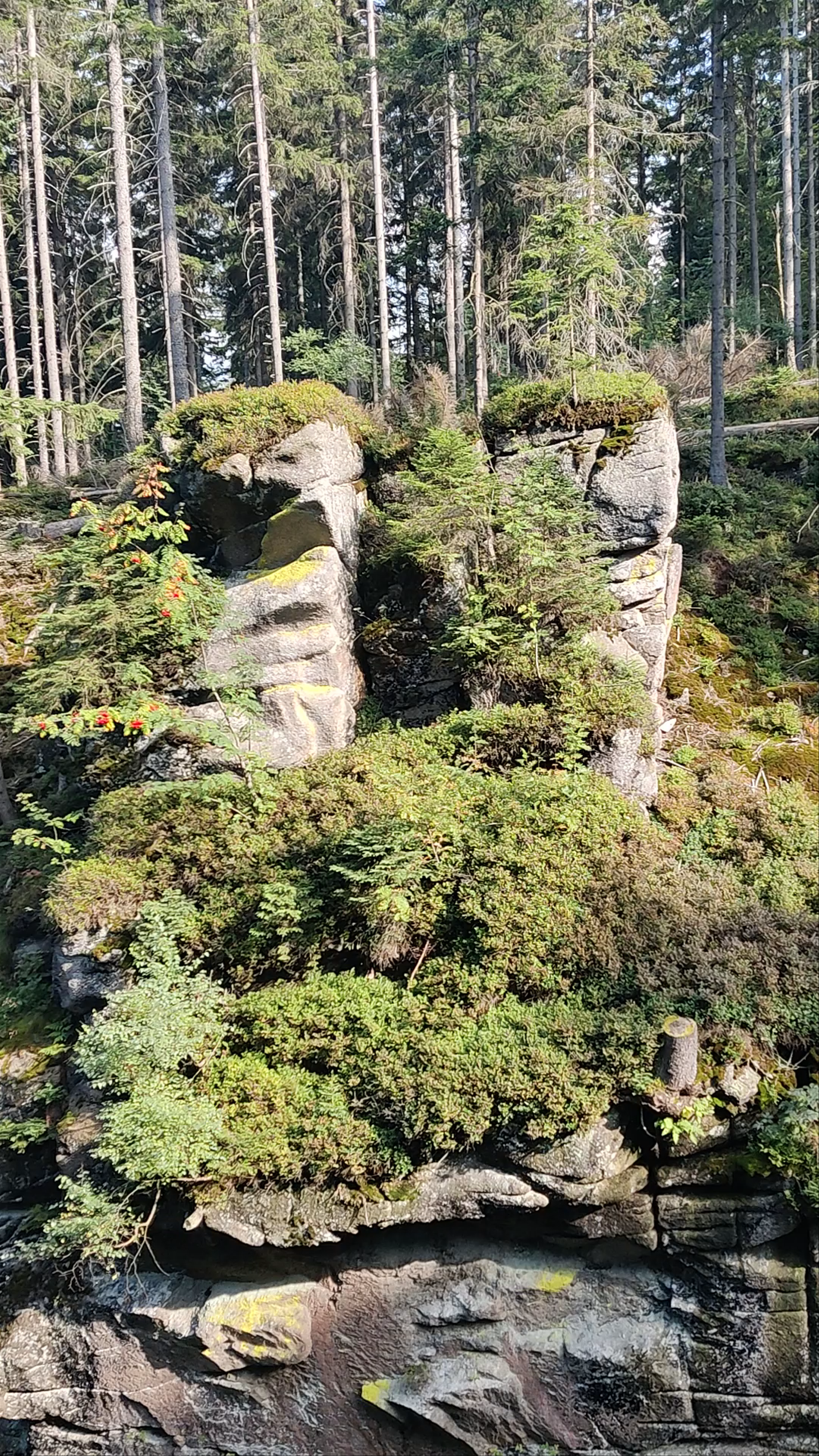 Kamieńczyk Waterfall